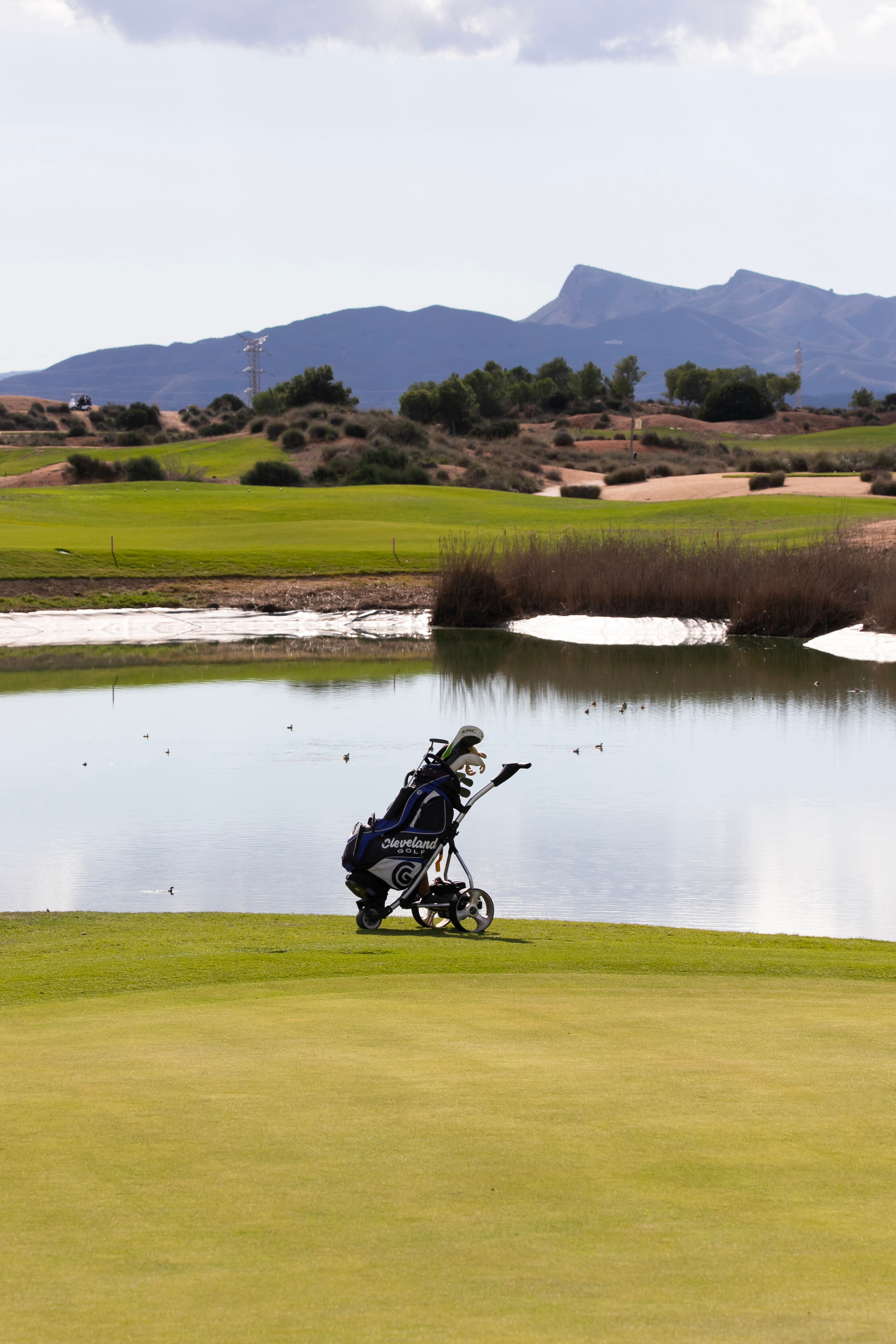 Alhama Signature Golf-gallery