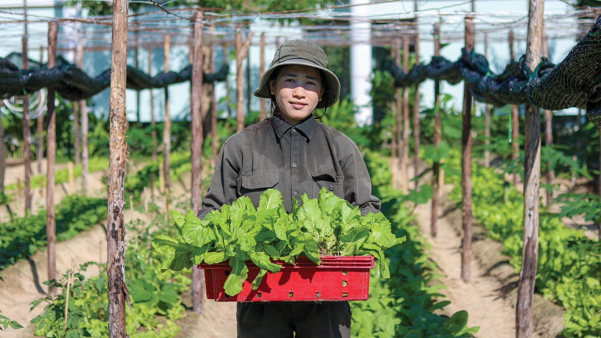 Alma Resort Cam Ranh-gallery