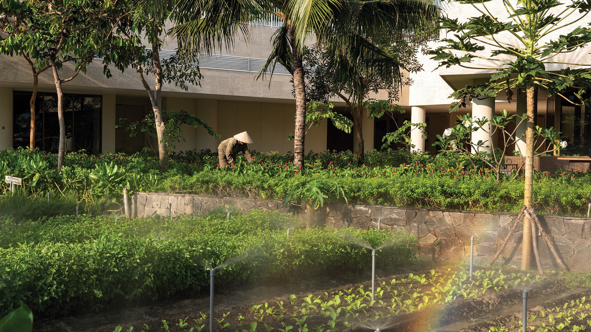 Alma Resort Cam Ranh