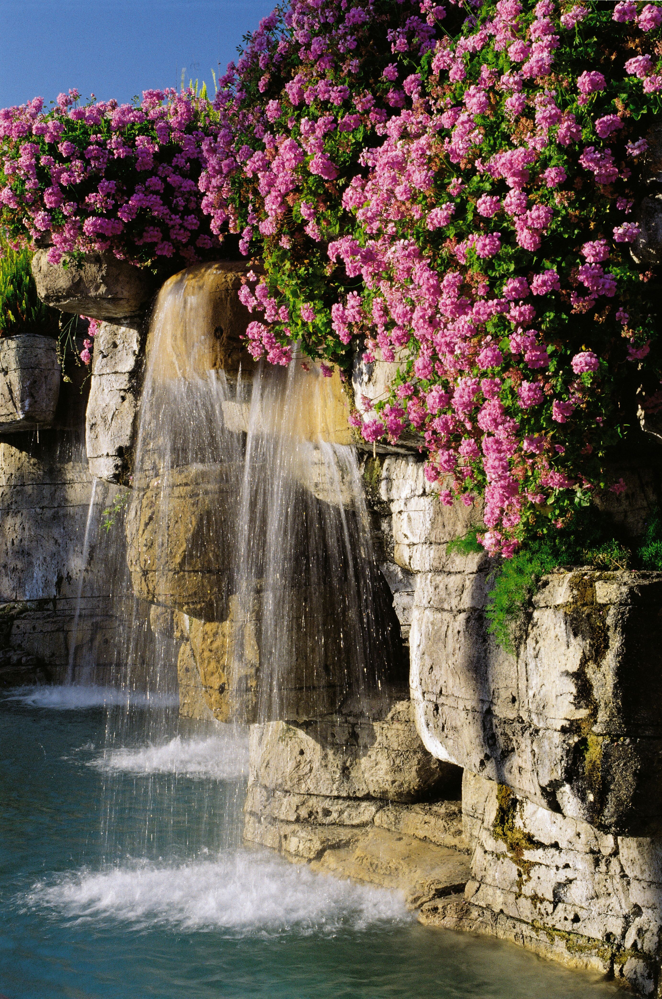 Annabelle Hotel-gallery