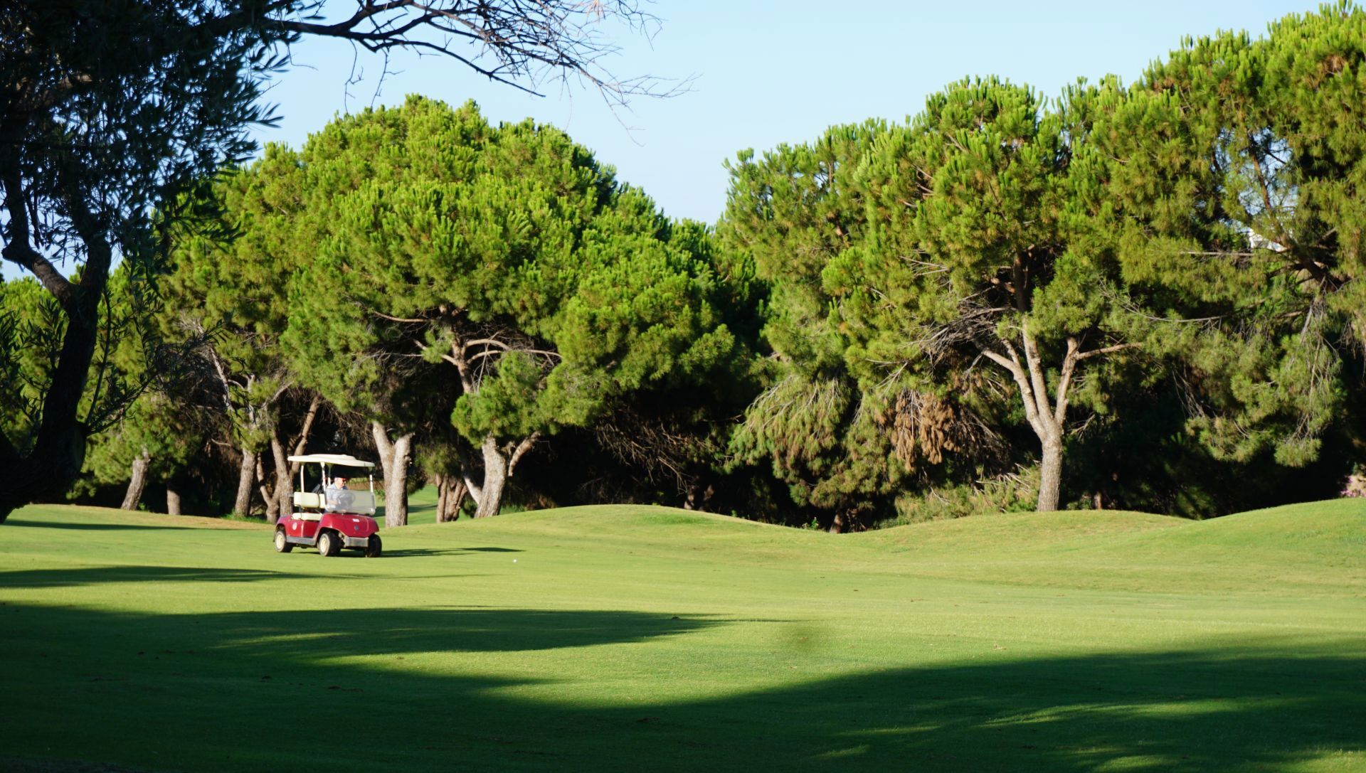 Añoreta Resort & Golf