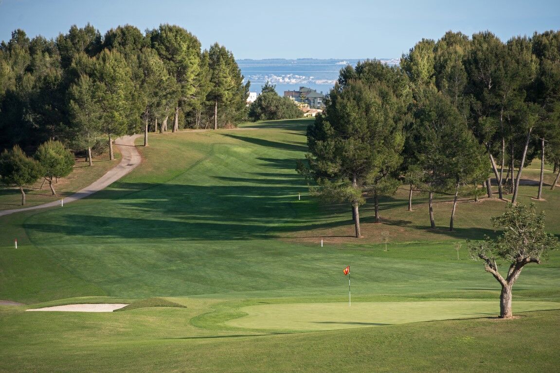 Arabella Golf Son Quint