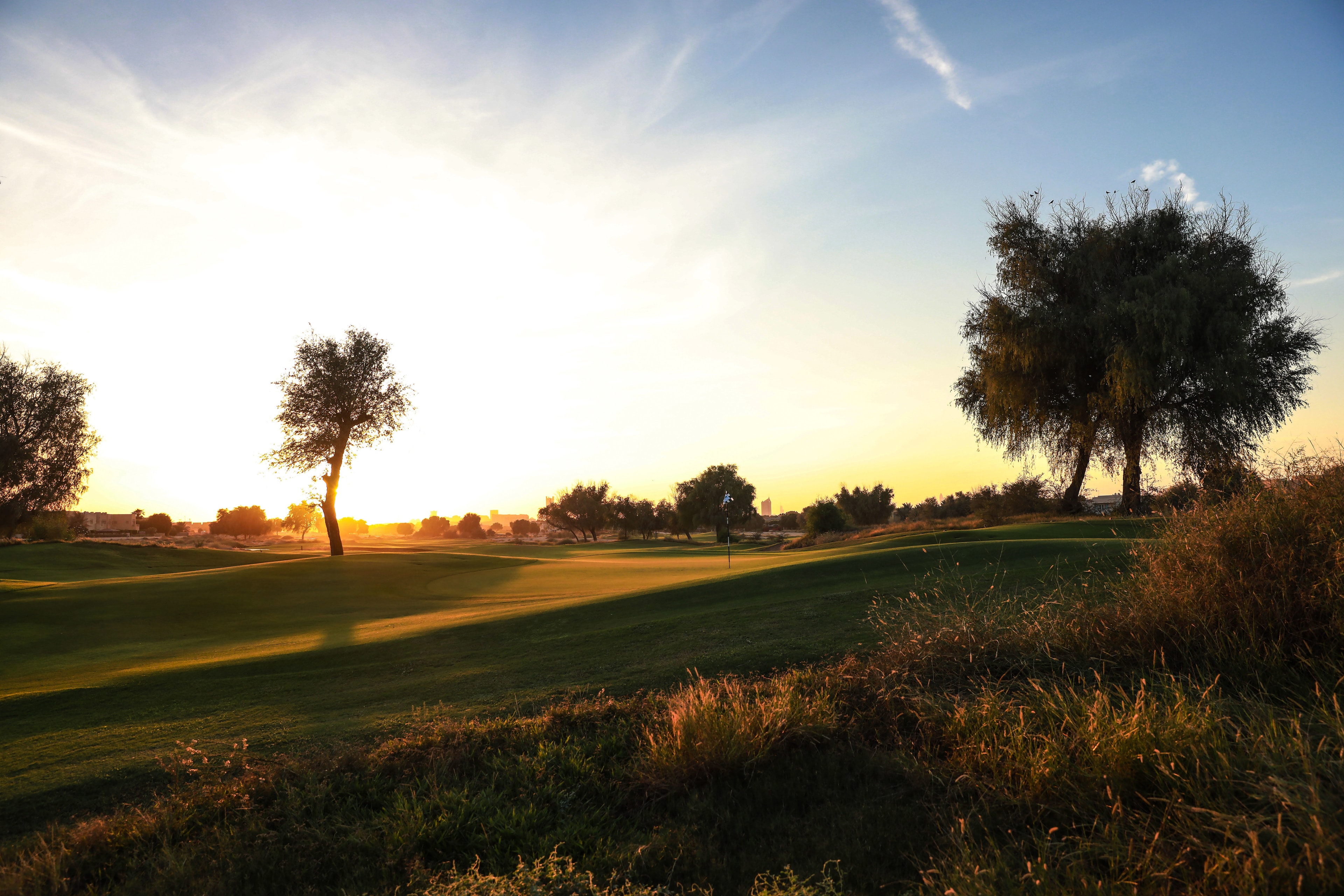Arabian Ranches Golf Club-gallery
