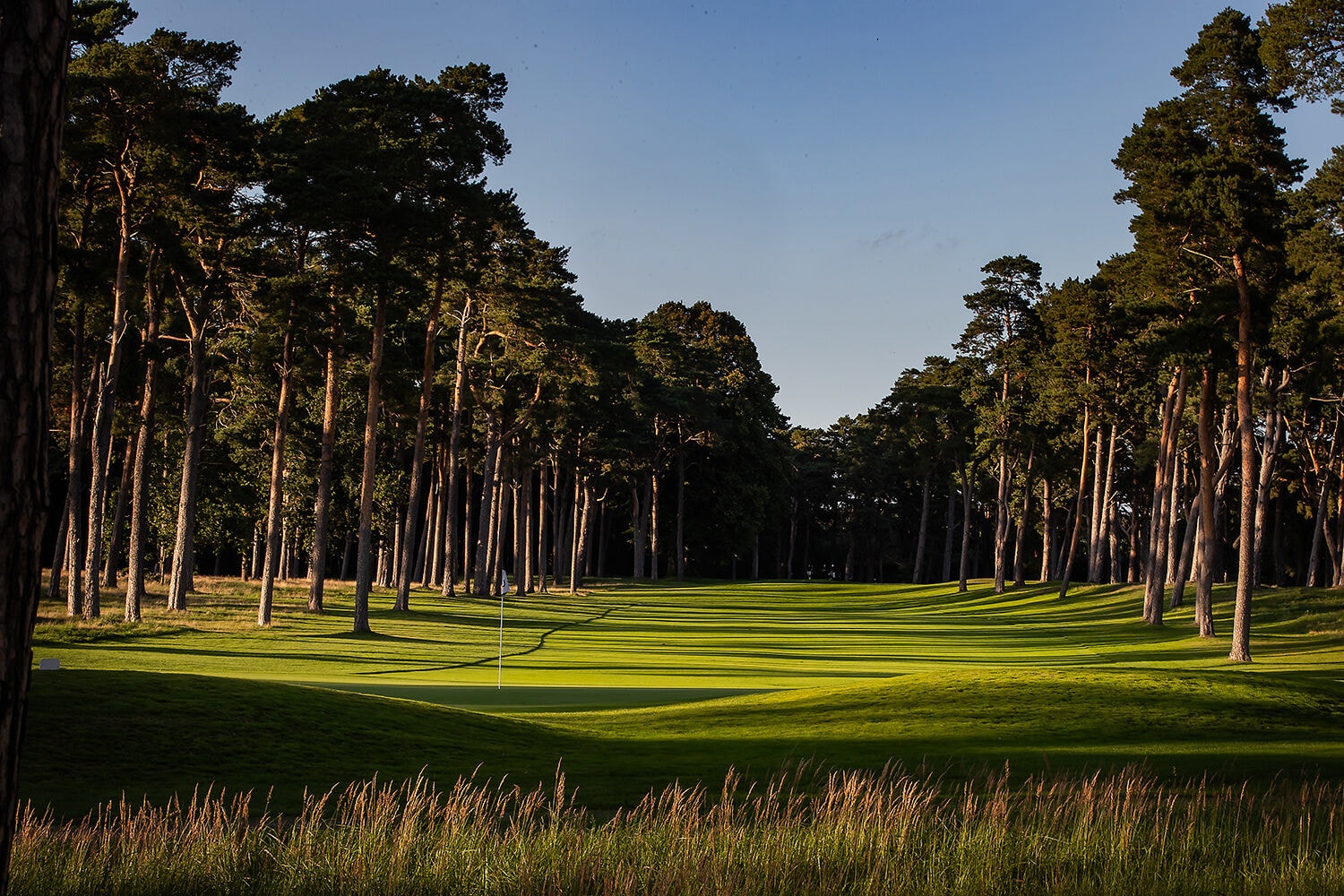 Barsebäck Golf & Country Club-gallery