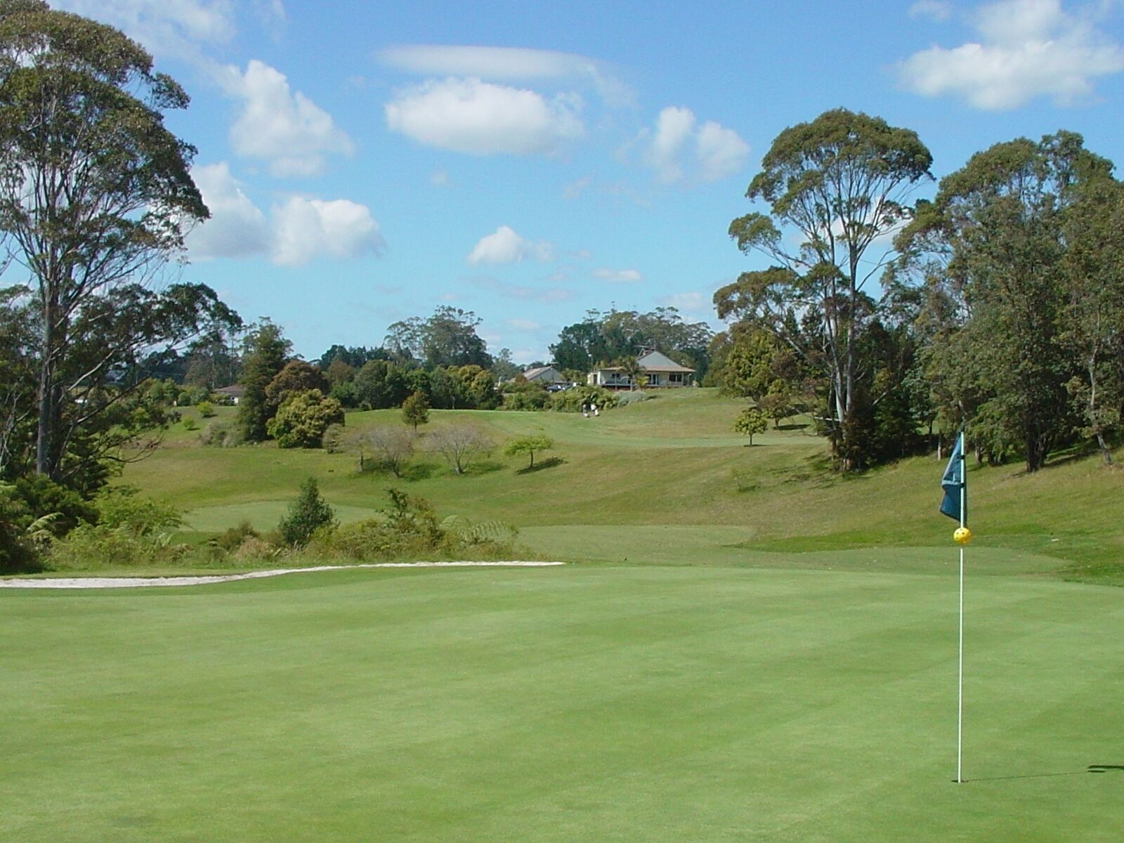 Bay of Islands Golf Club Kerikeri-gallery