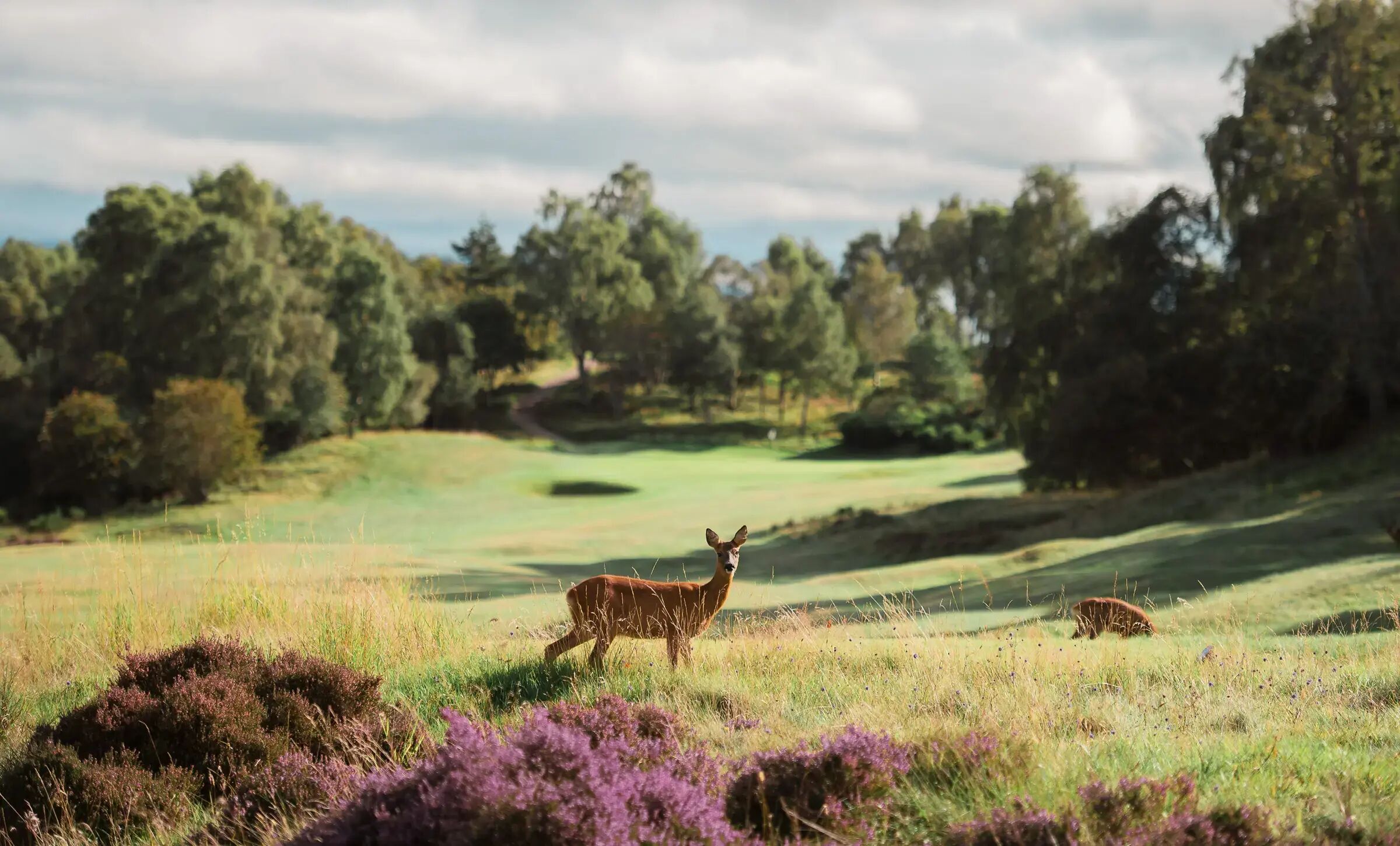 Boat of Garten Golf & Tennis Club-gallery