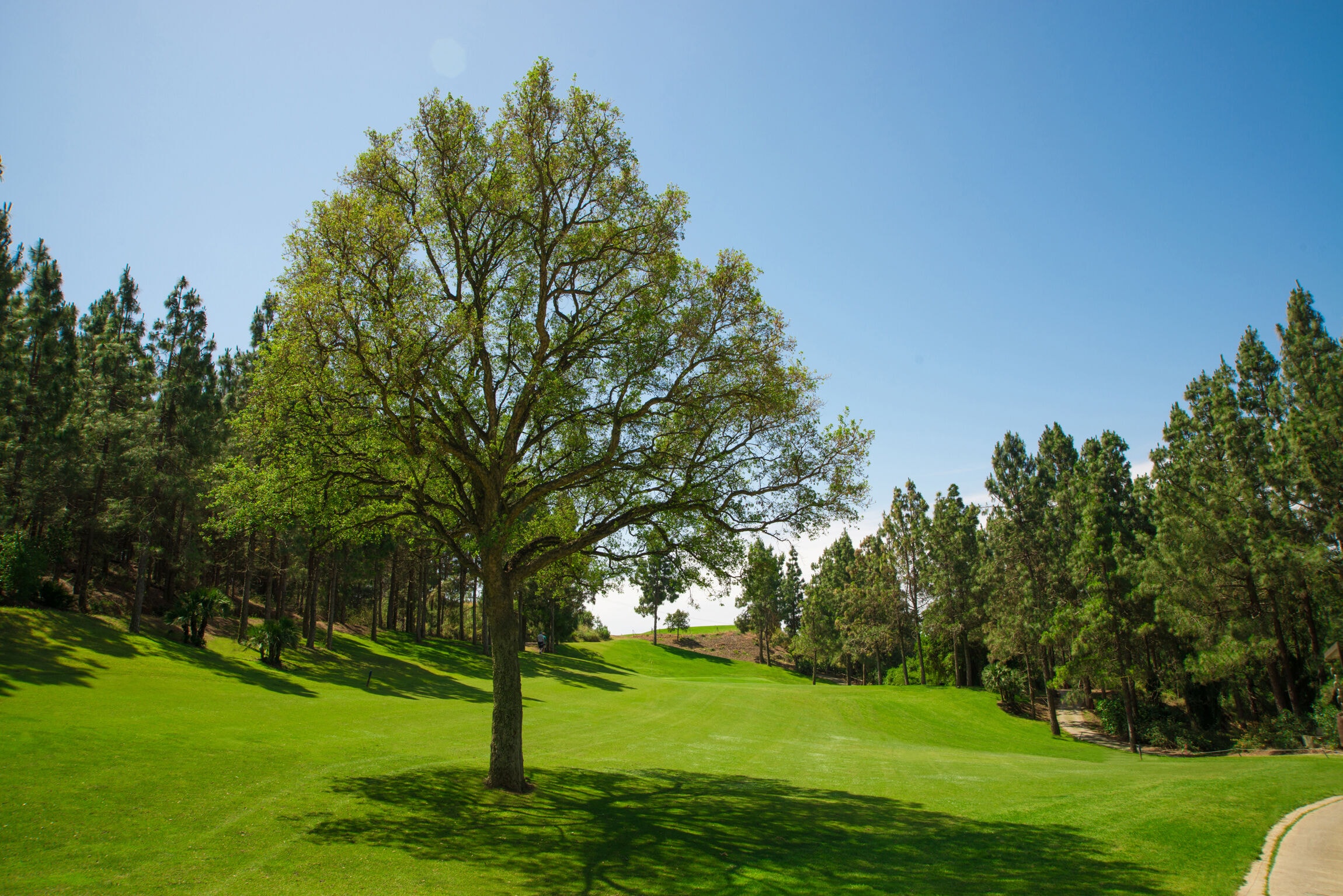 Chaparral Golf Club-gallery