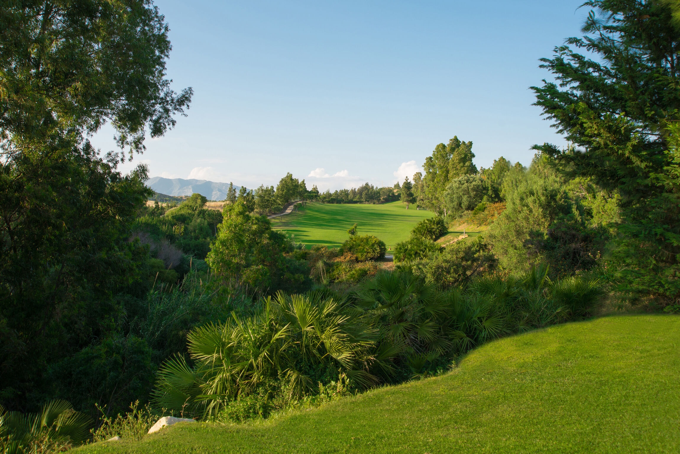 Chaparral Golf Club