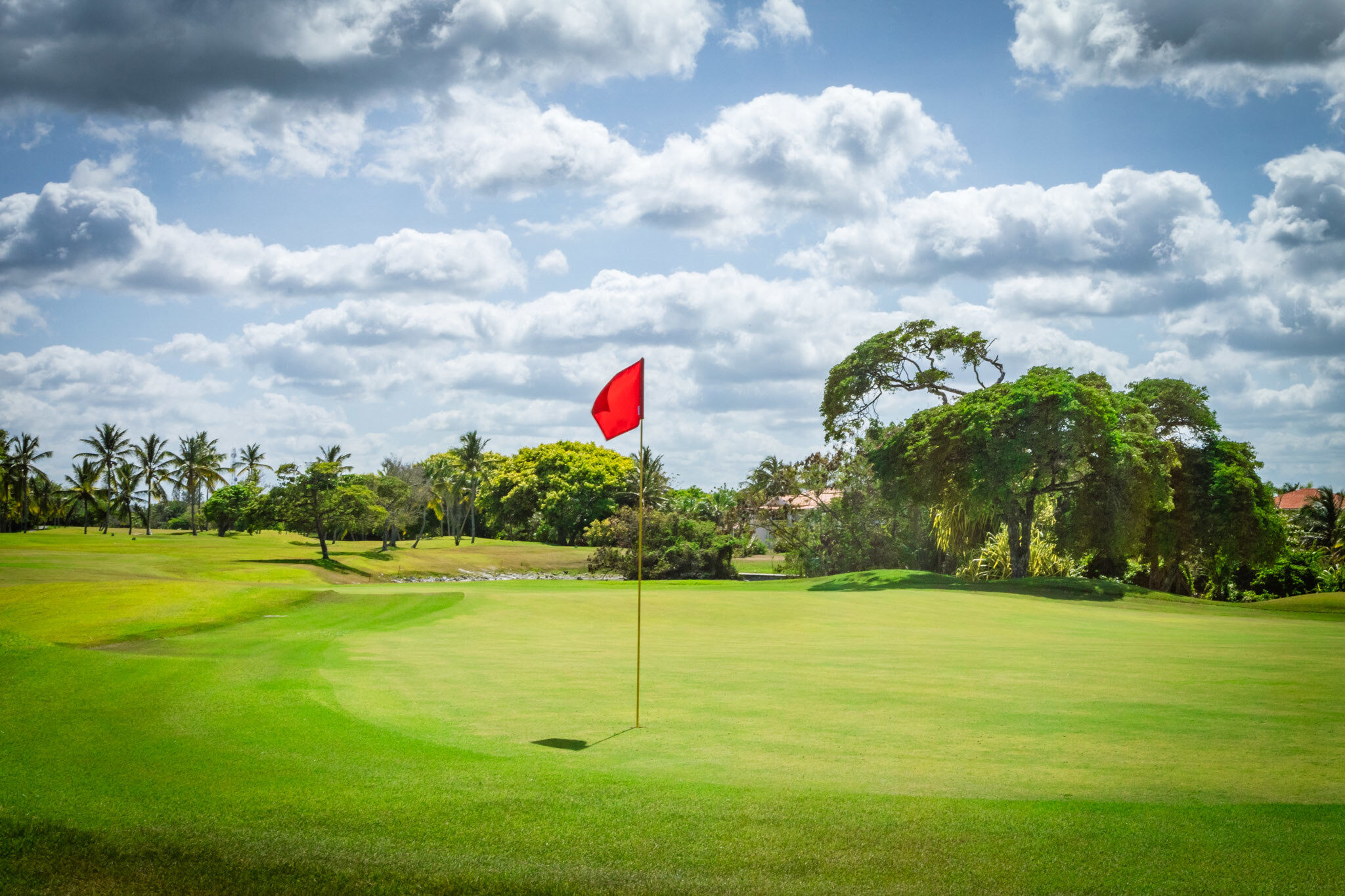 Cocotal Golf & Country Club-gallery