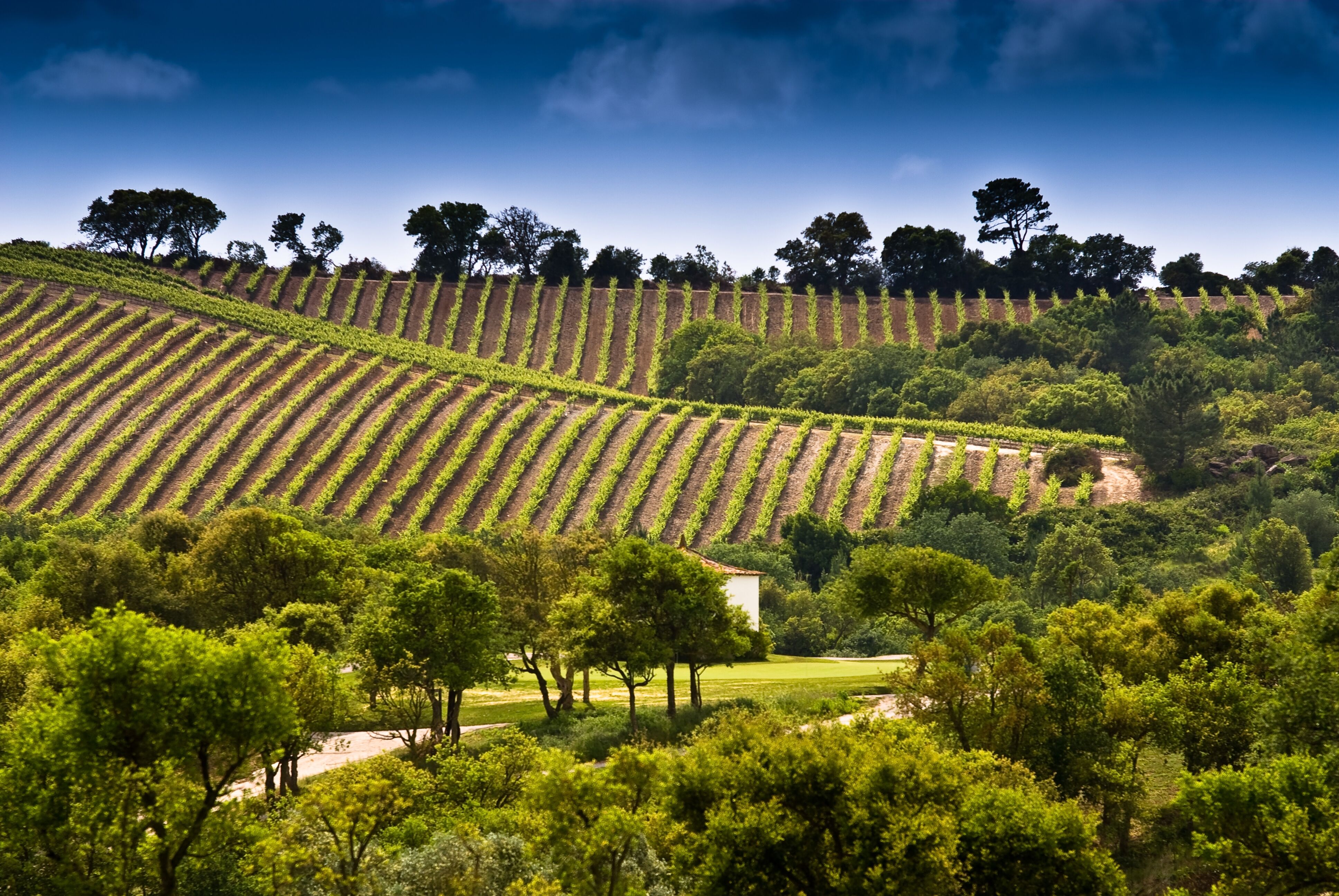 Dolce Camporeal Lisboa-gallery