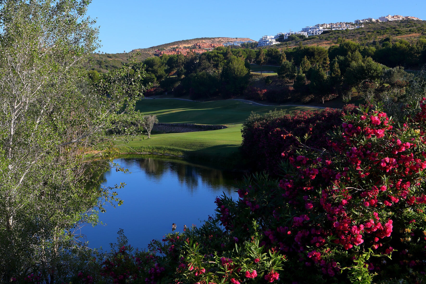 Doña Julia Golf Club