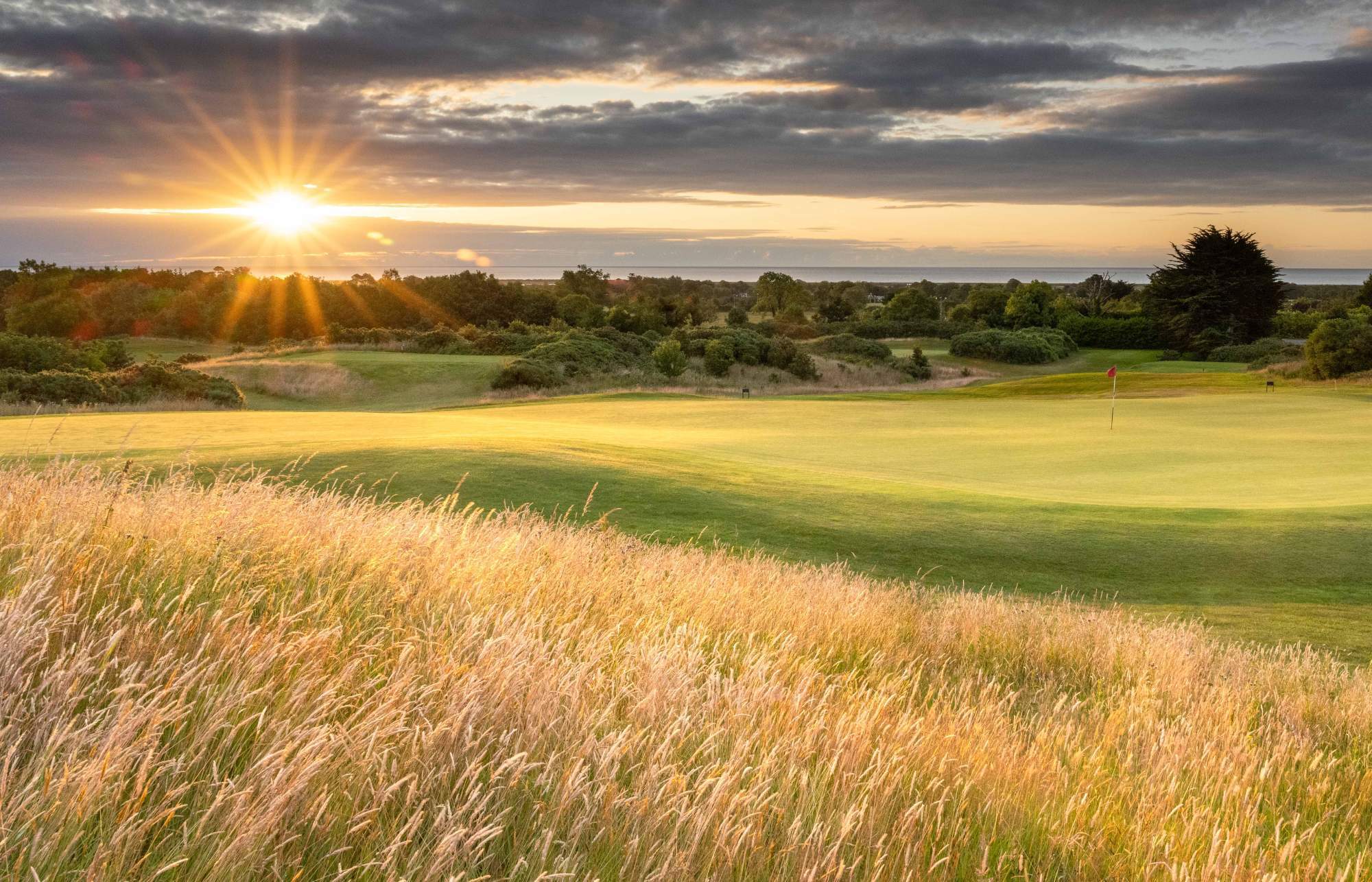 Druids Glen Hotel & Golf Resort-gallery