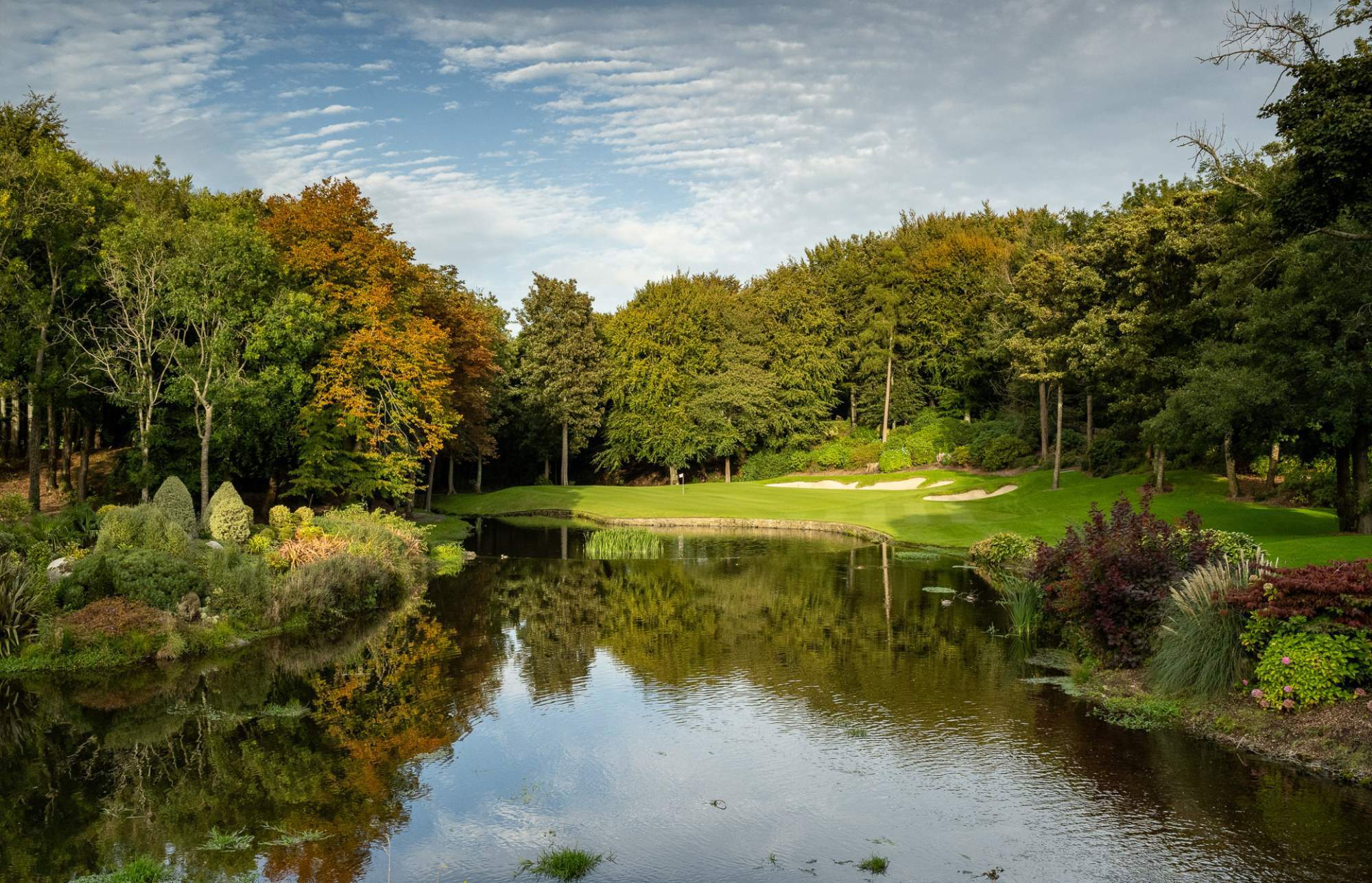 Druids Glen Hotel & Golf Resort-gallery