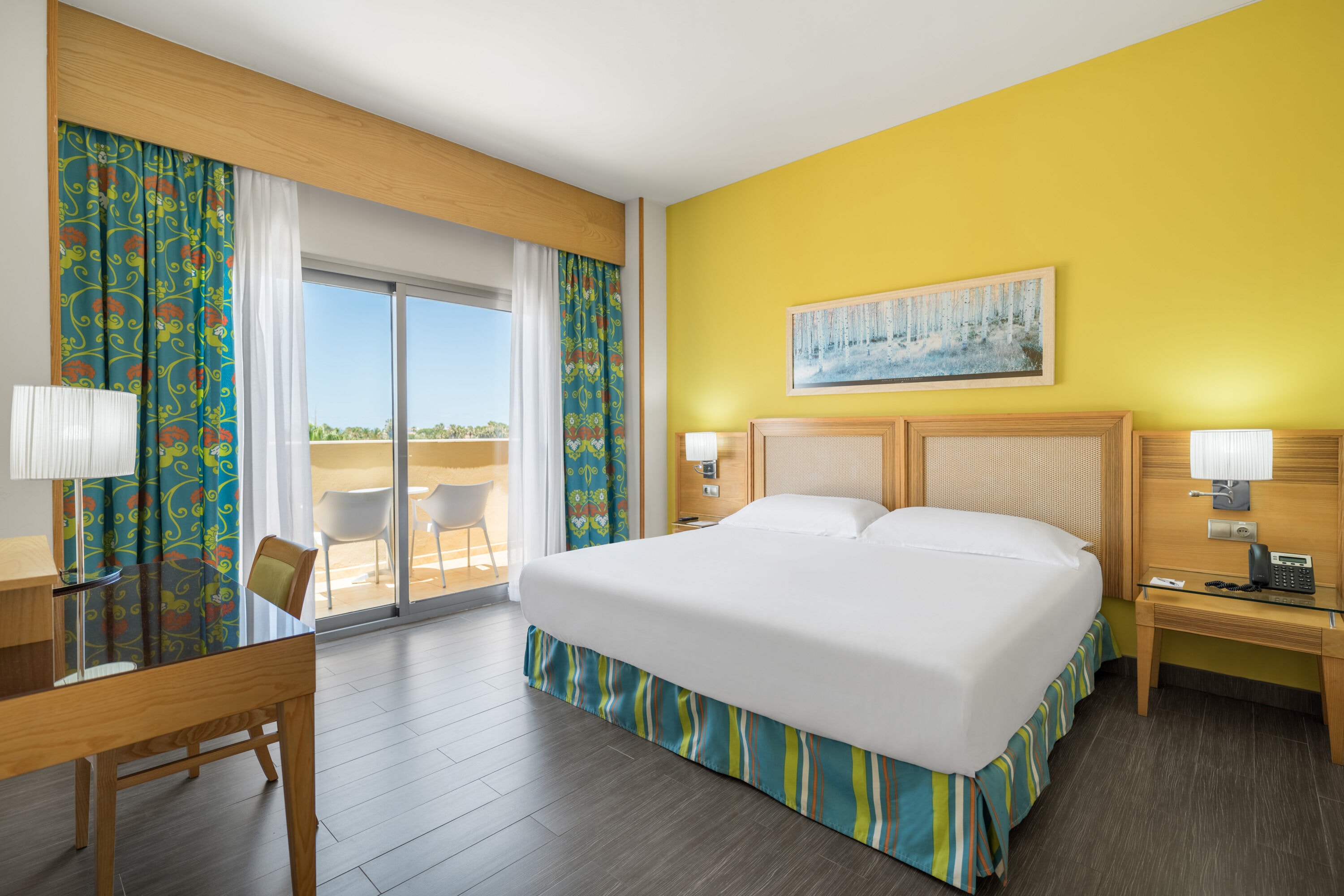 Elba Costa Ballena Beach & Thalasso Resort-gallery