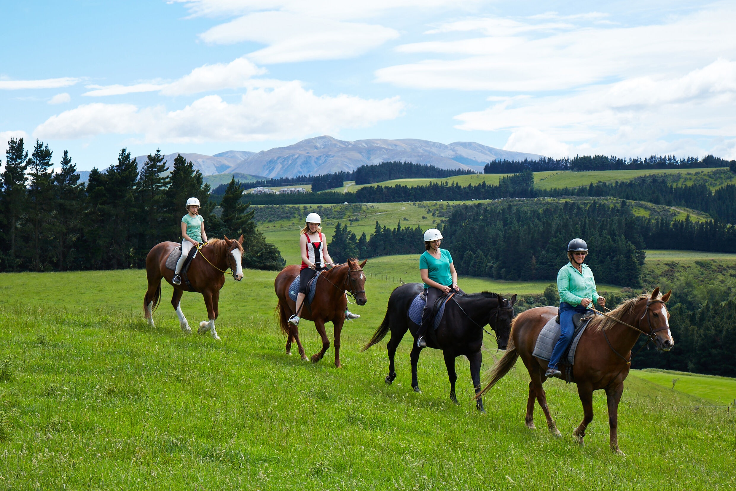 Fable Terrace Downs Resort-gallery