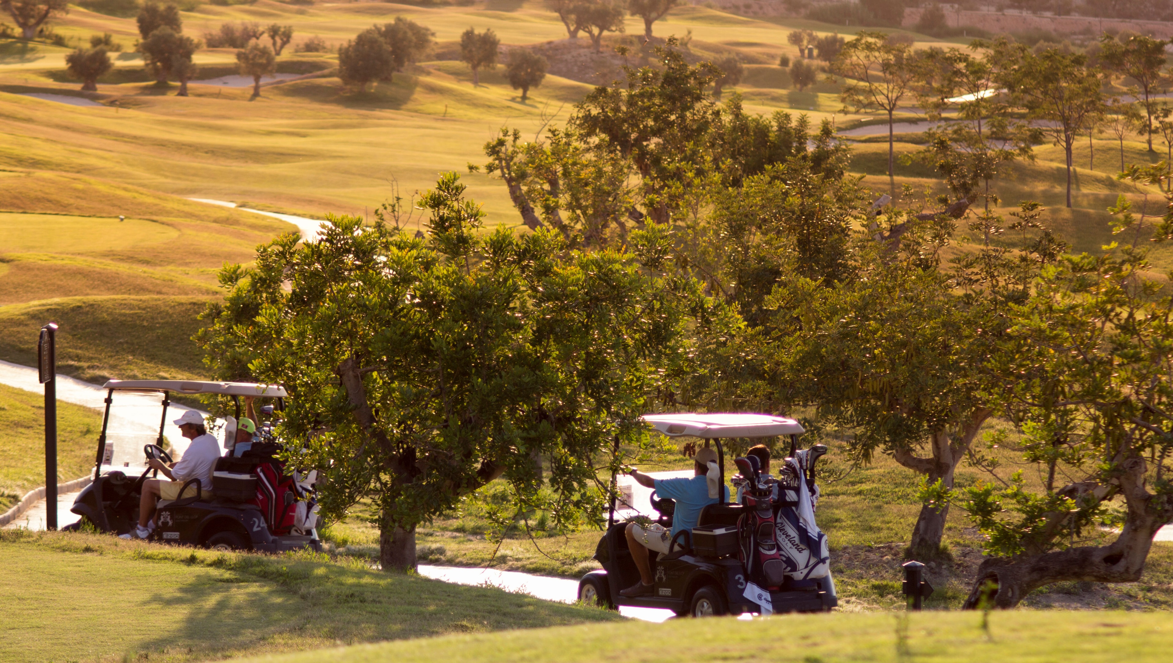 Font del Llop Golf Course-gallery