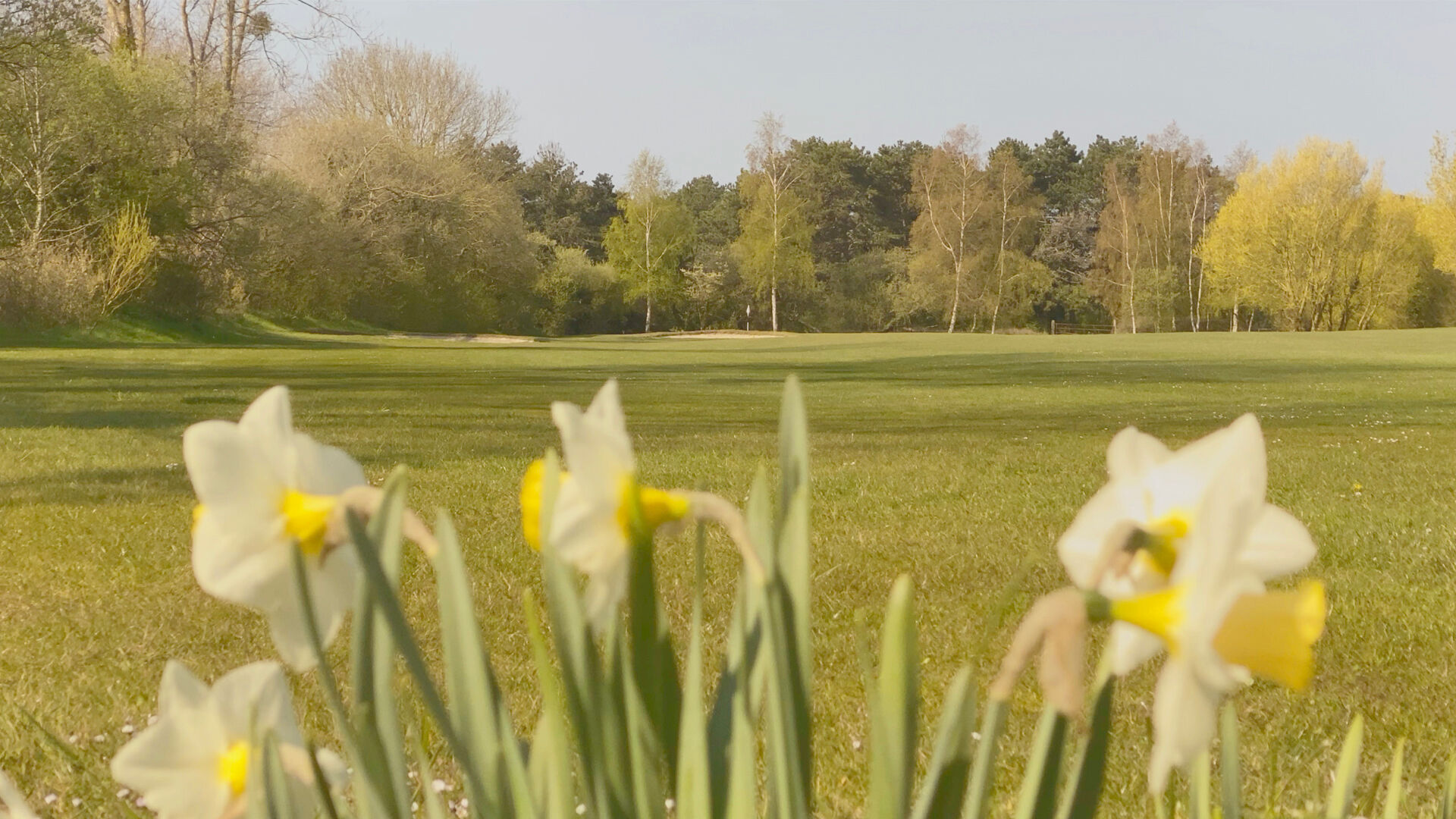 Golf de Coutainville-gallery