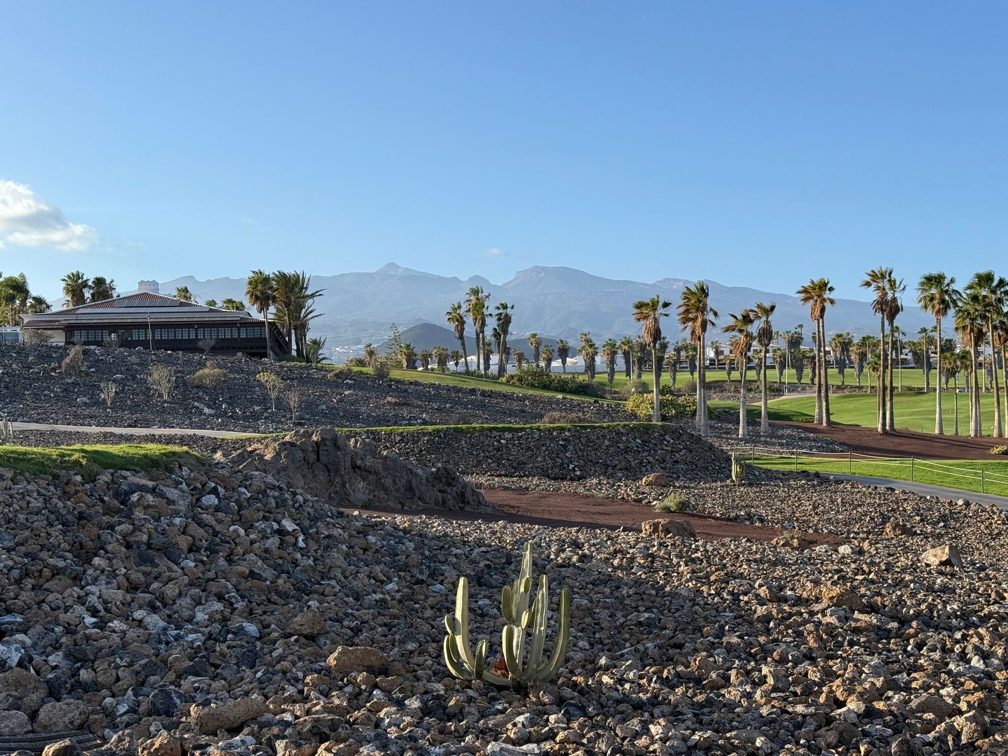 Golf Del Sur-gallery