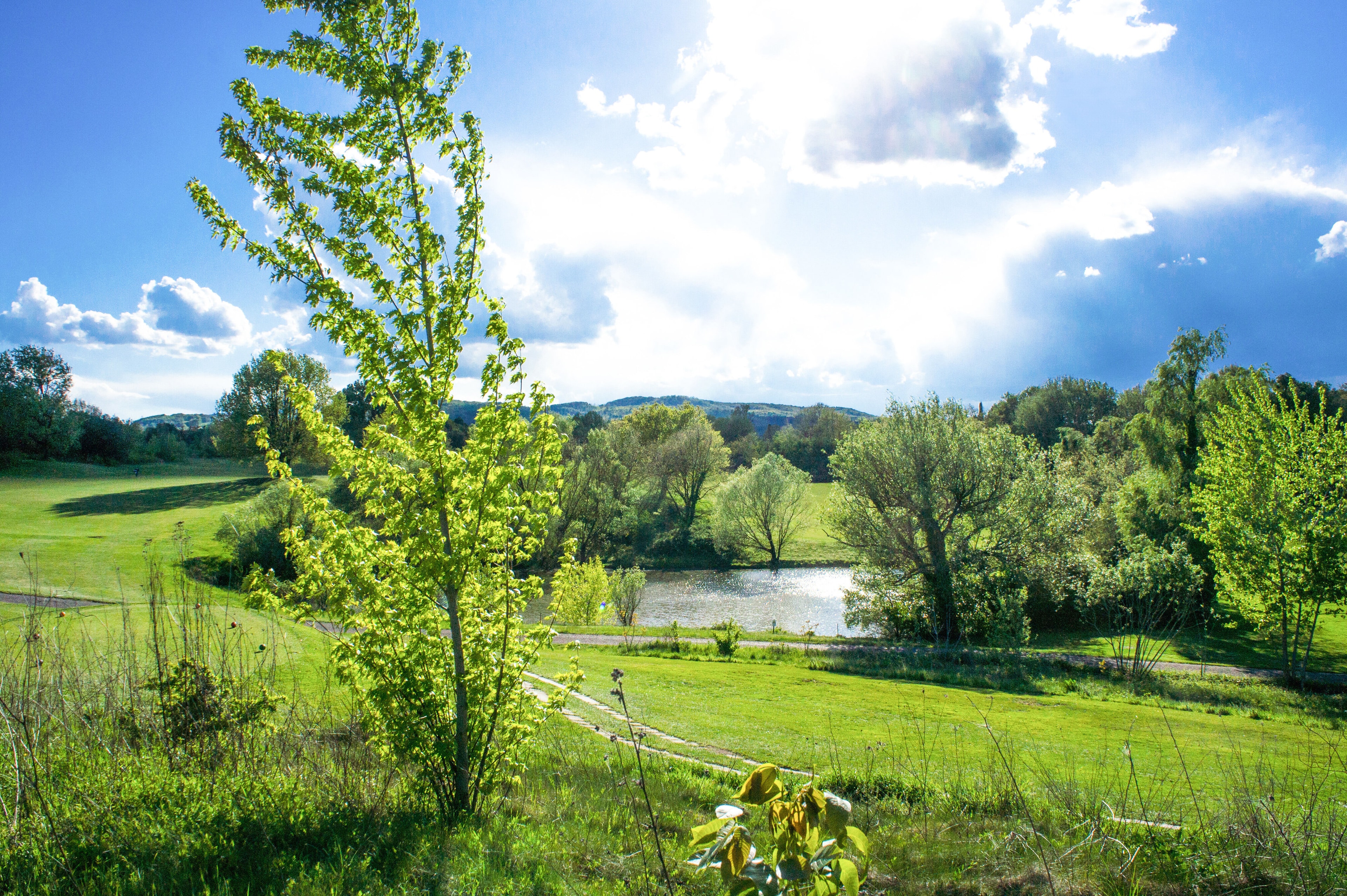 Golf Nazionale-gallery