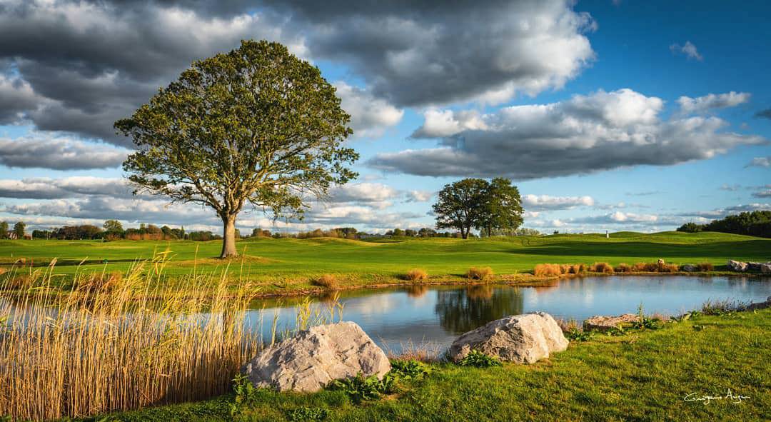 Golf Normandie Côte d'Albatre