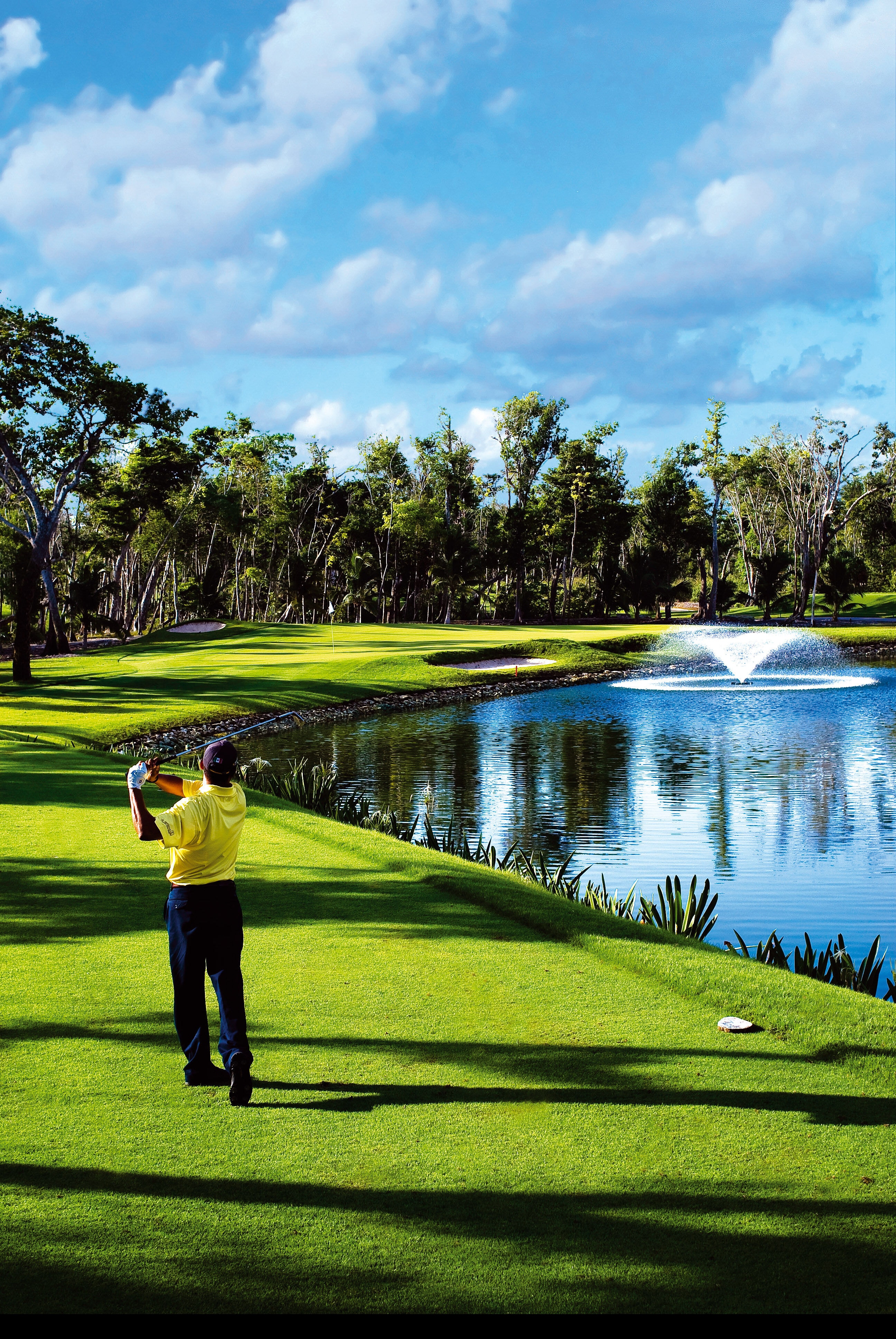 Iberostar Playa Paraiso Resort and Golf Club-gallery