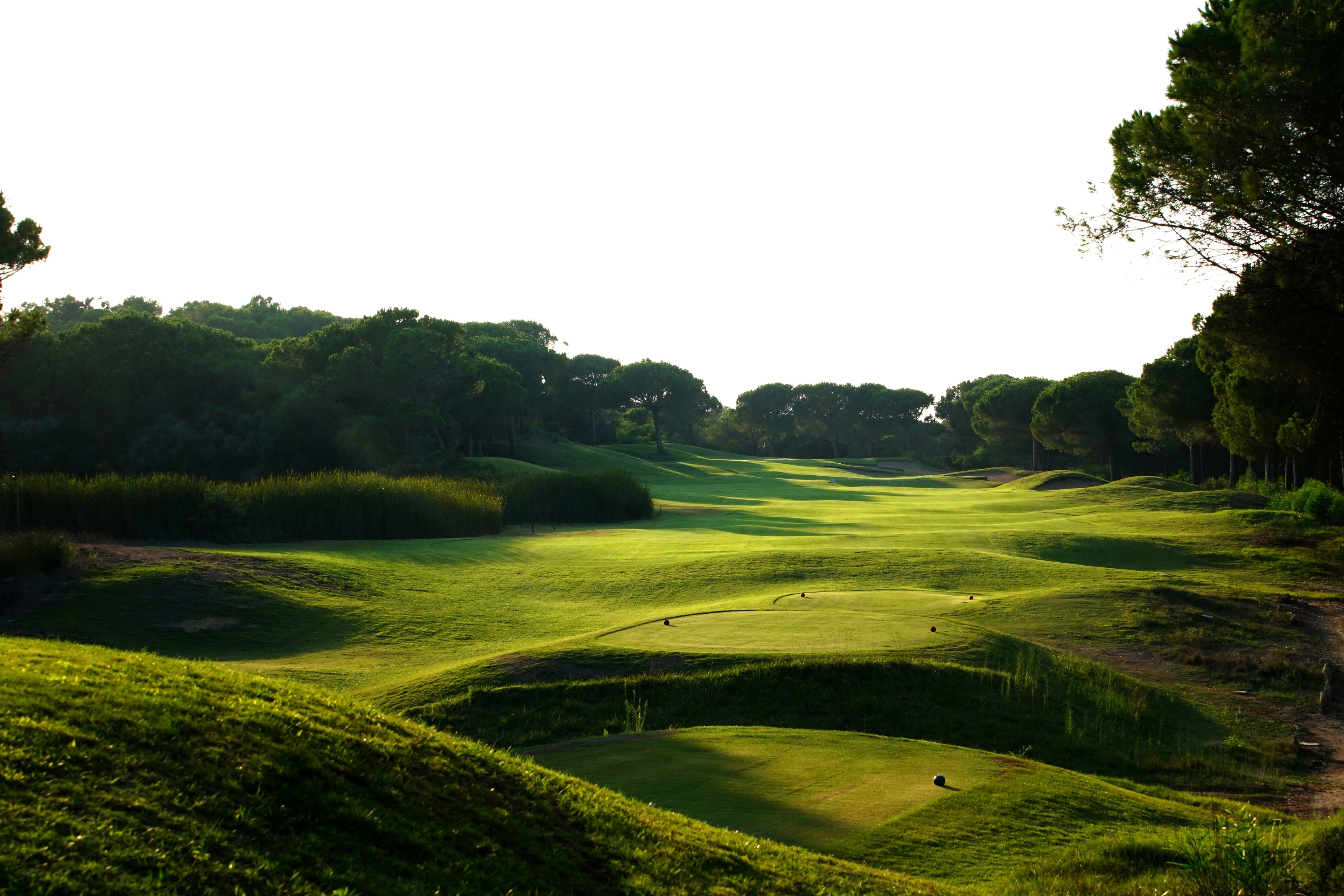 Is Arenas Private Golf & Foresterie Boutique Resort-gallery