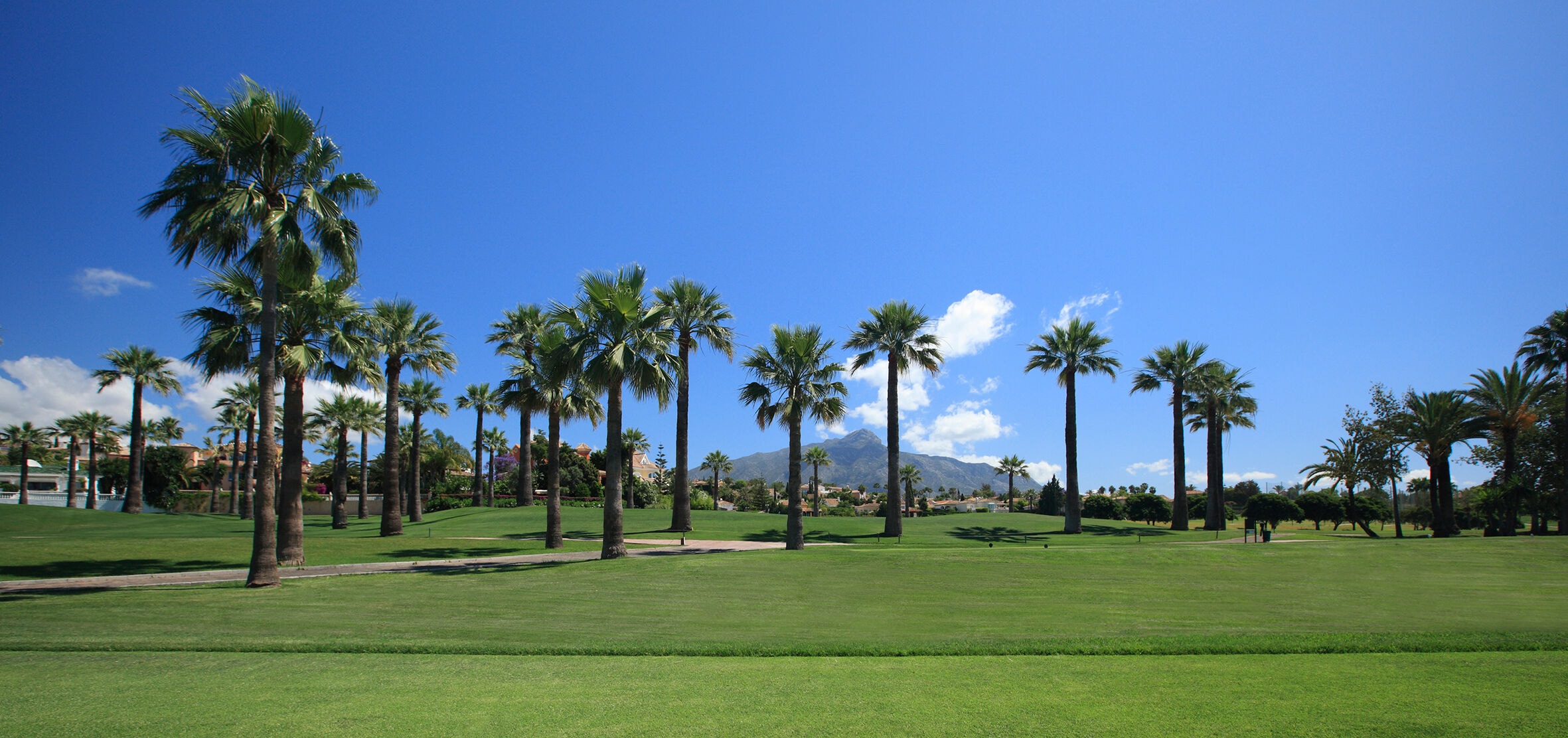 Los Naranjos Golf & Padel Club-gallery