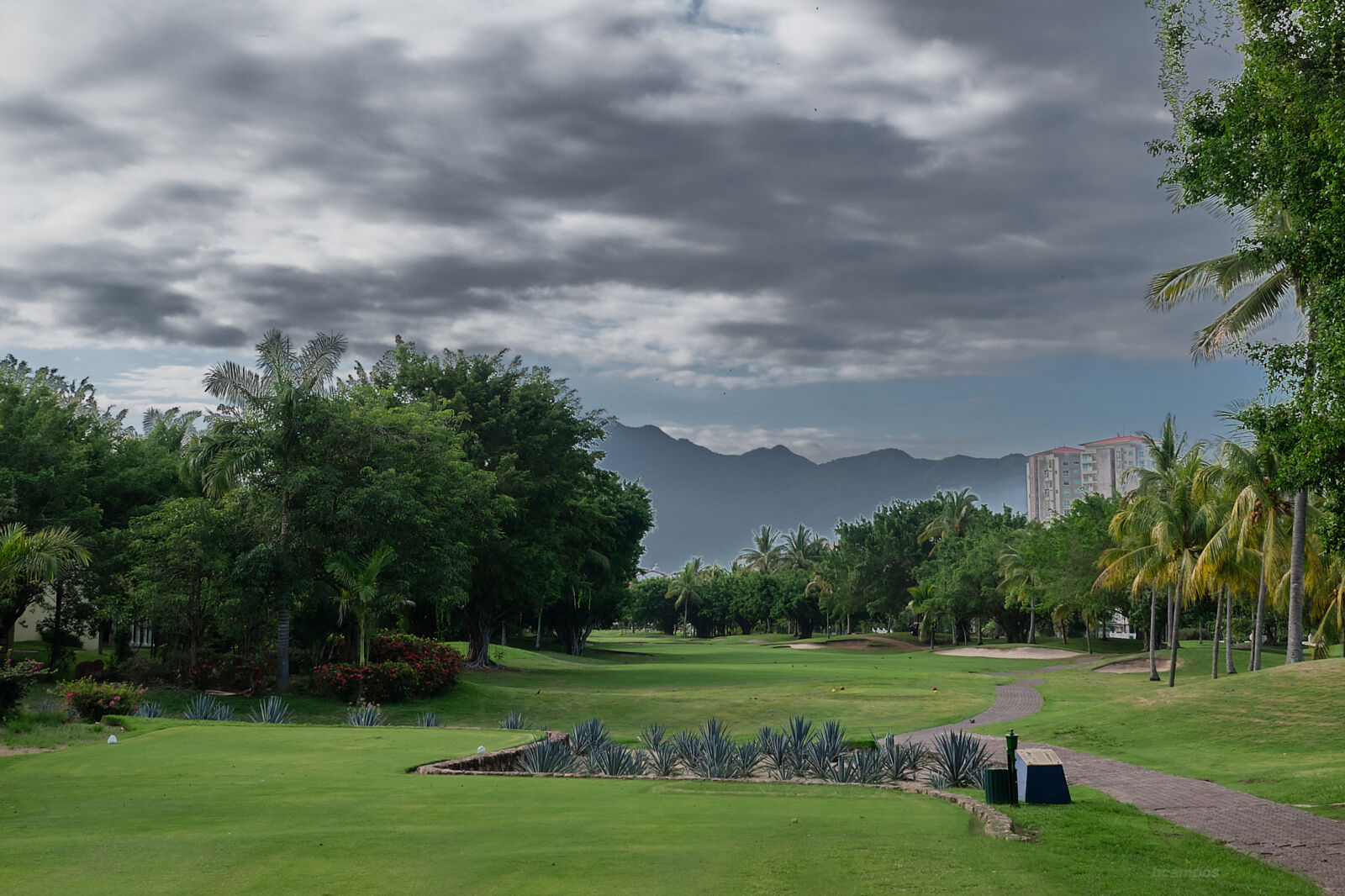 Marina Vallarta Golf Club