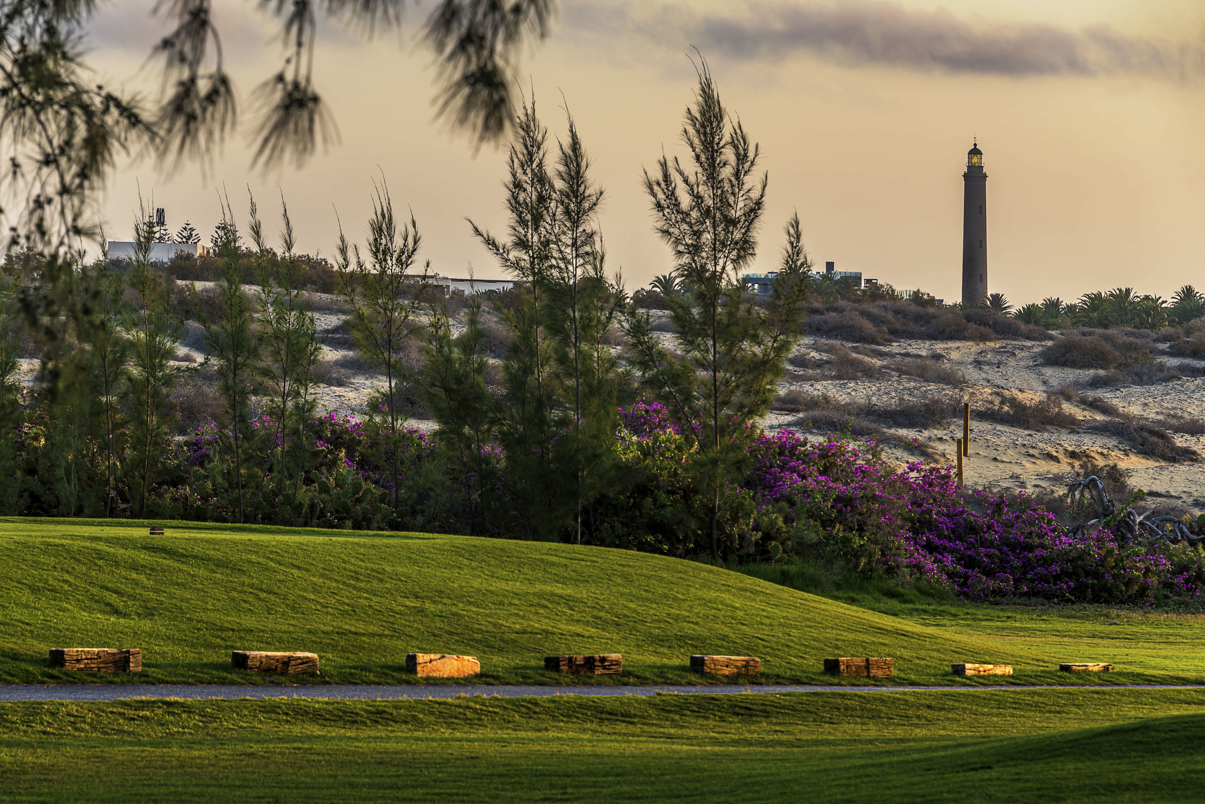 Maspalomas Golf