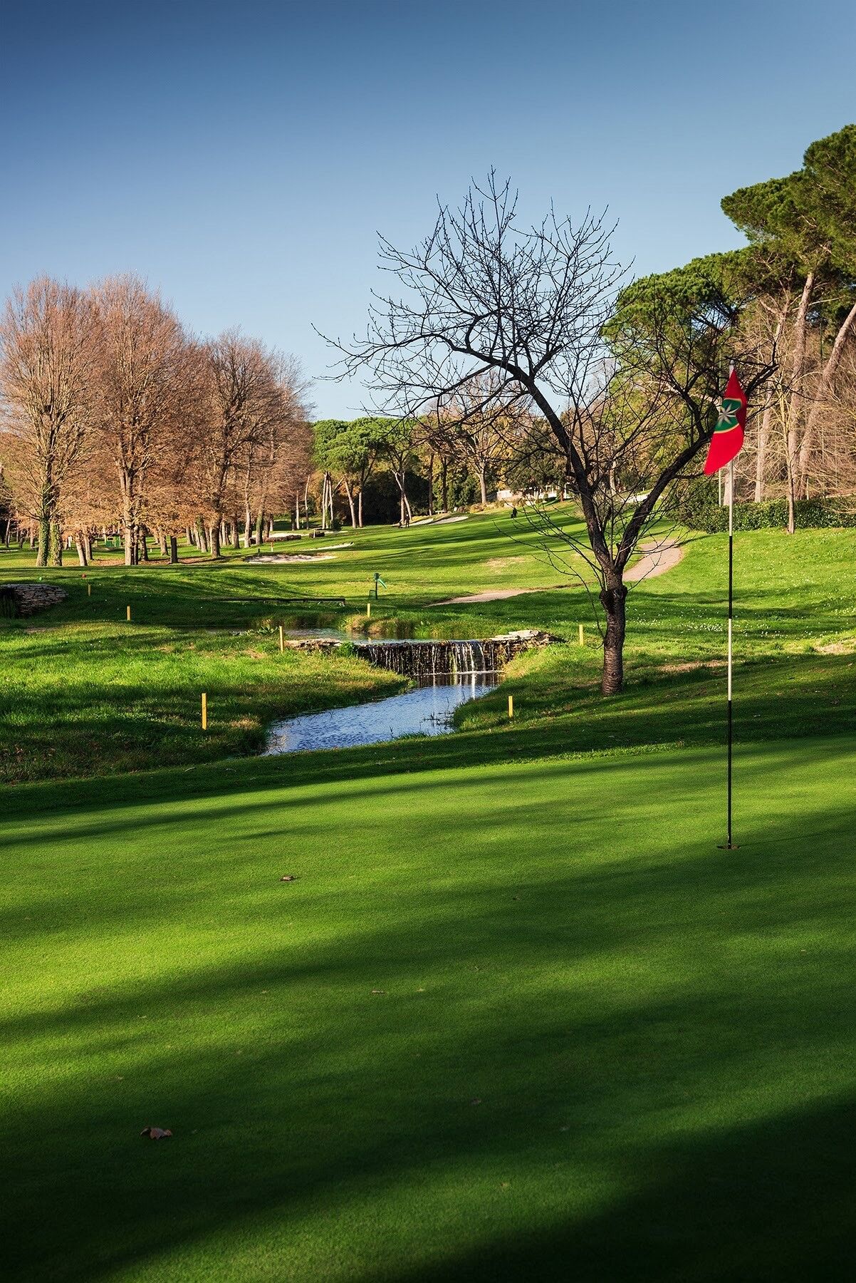 Olgiata Golf Club-gallery