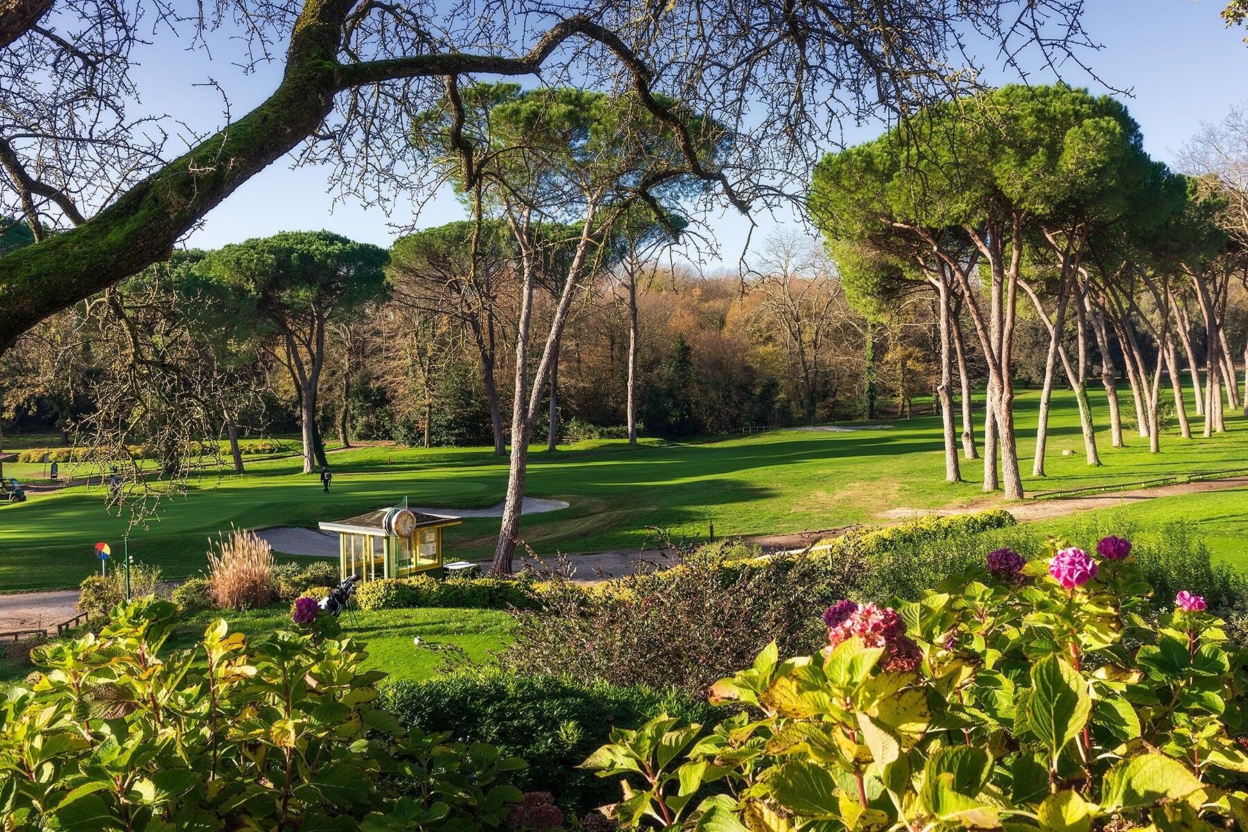 Olgiata Golf Club-gallery