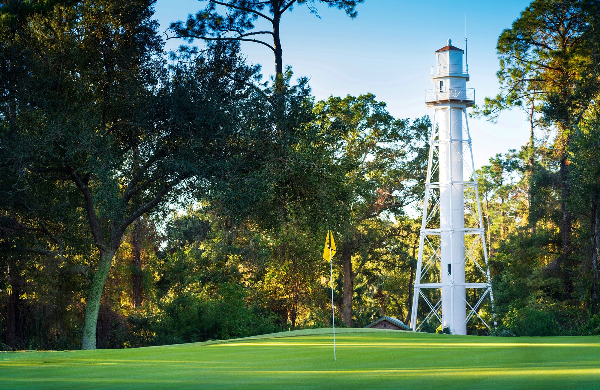 Palmetto Dunes Oceanfront Resort-gallery