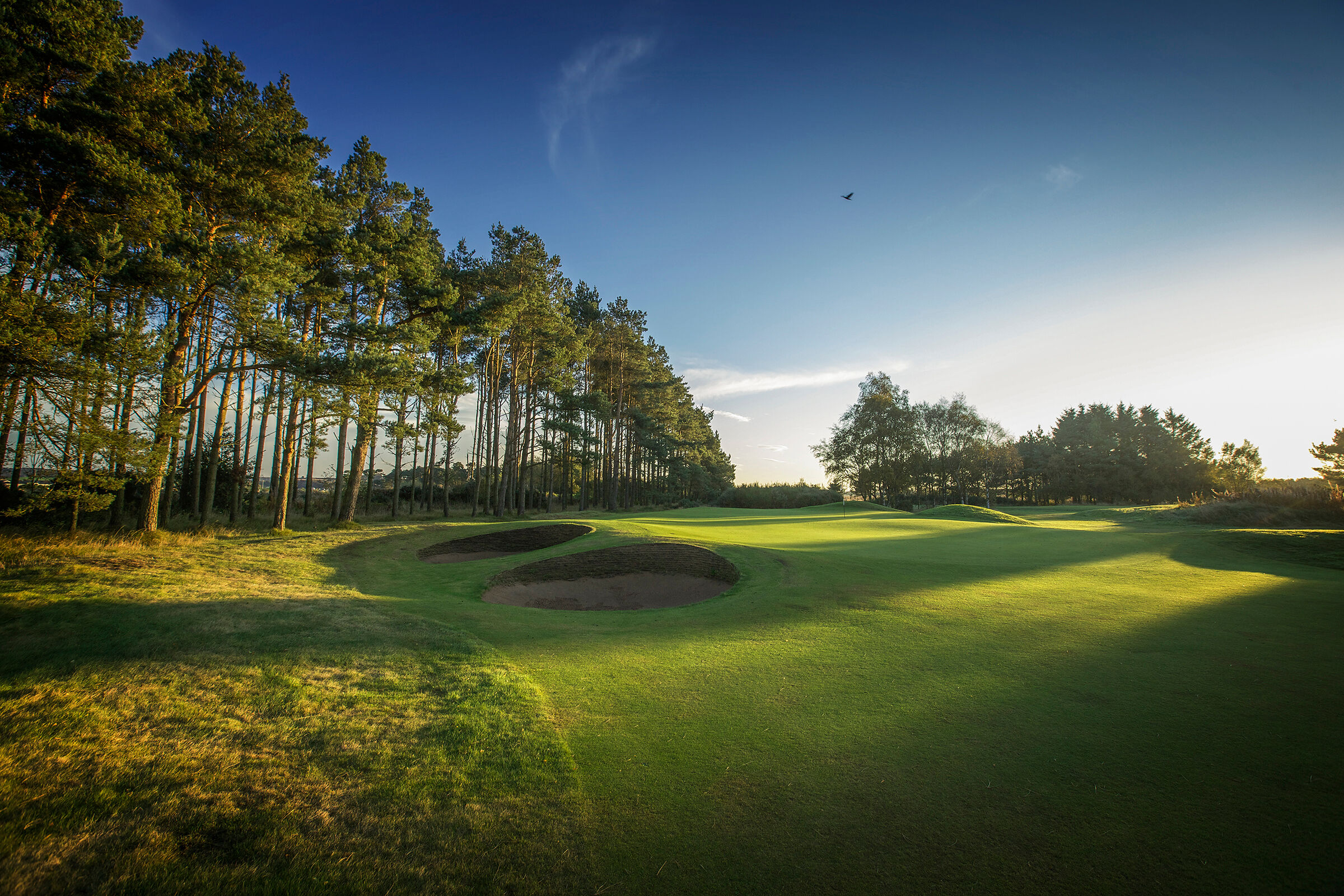 Panmure Golf Club - Carnoustie-gallery