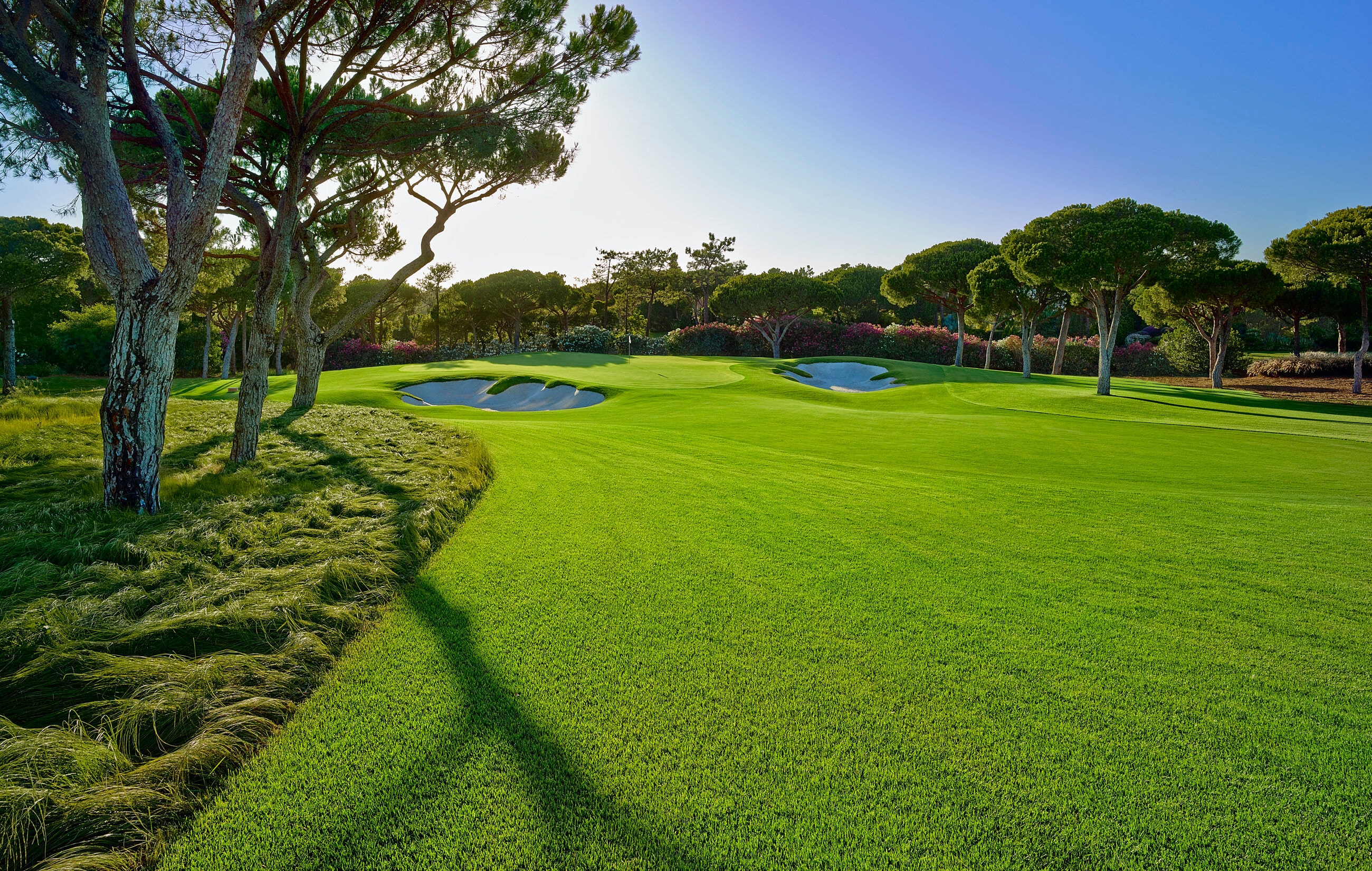 Quinta do Lago Golf Courses-gallery