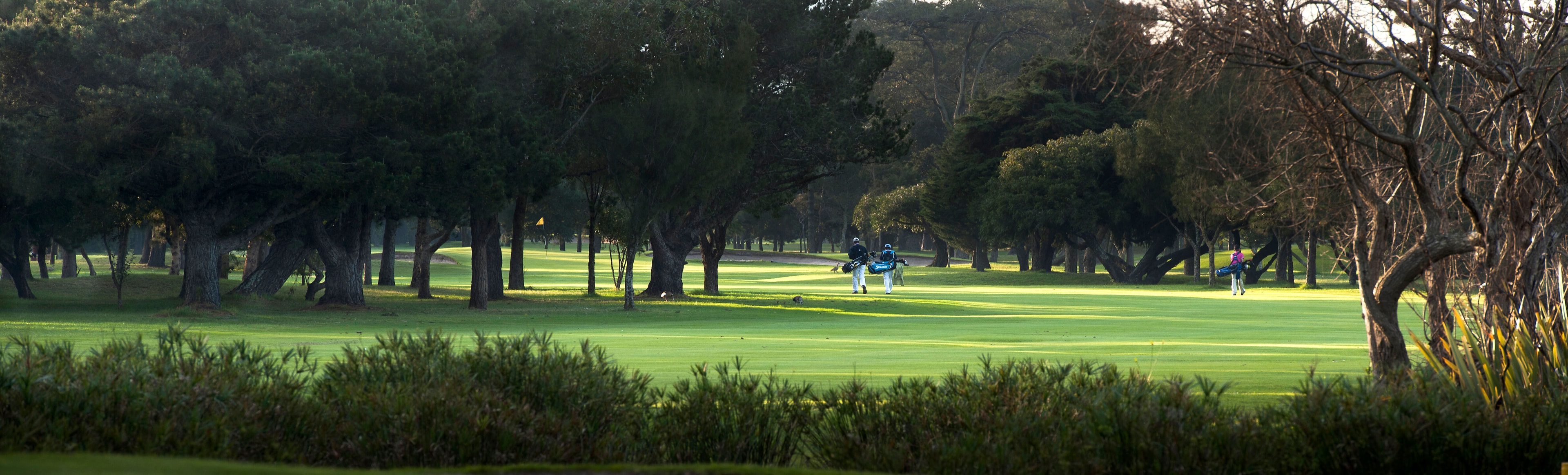 Royal Cape Golf Club-gallery