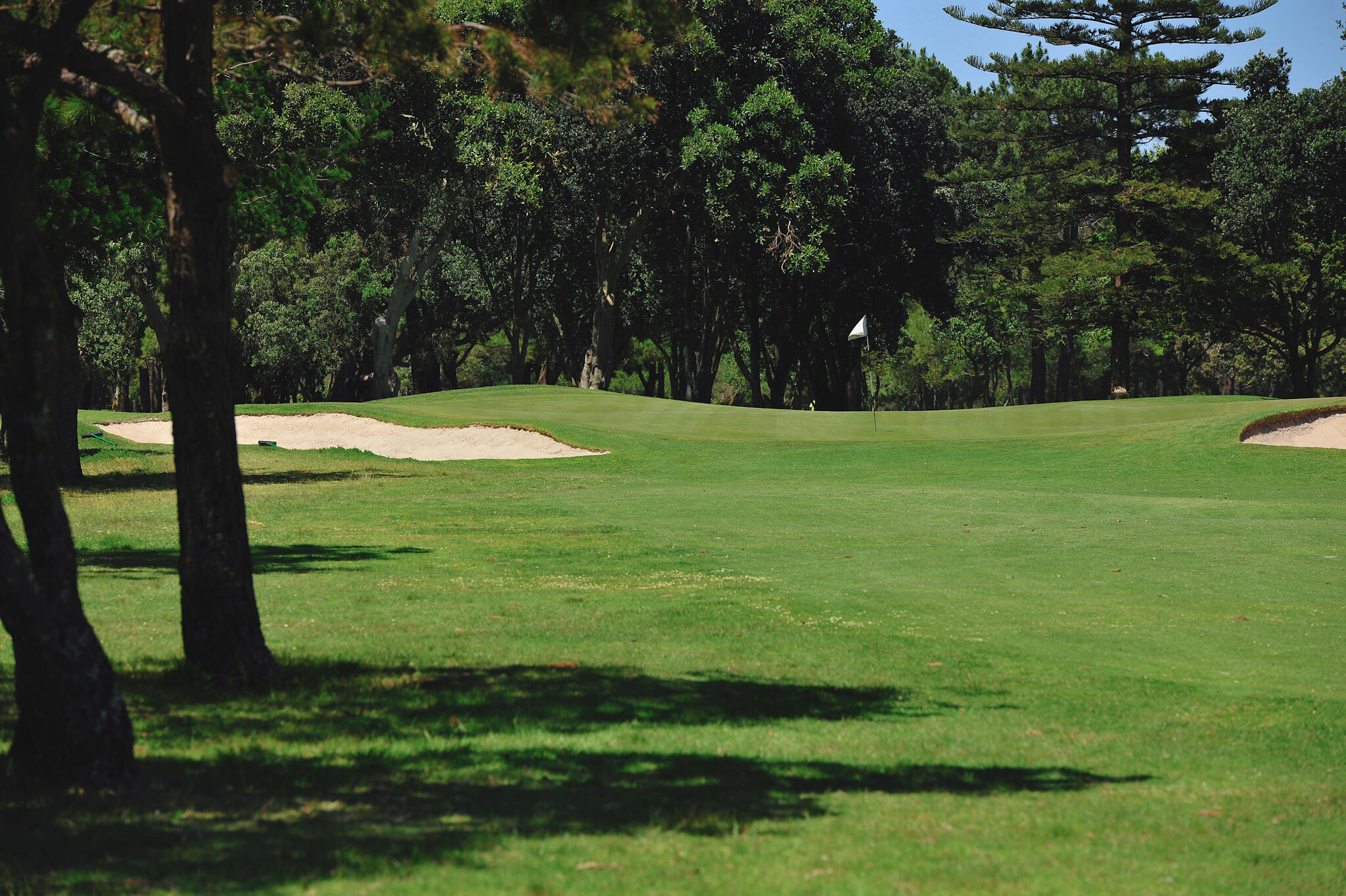 Royal Cape Golf Club-gallery