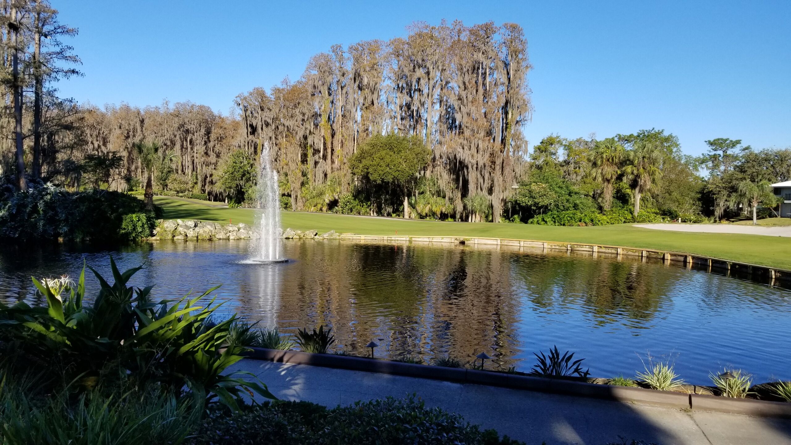 Saddlebrook Resort & Spa-gallery