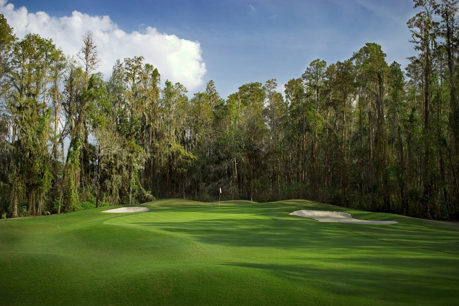 Saddlebrook Resort & Spa-gallery