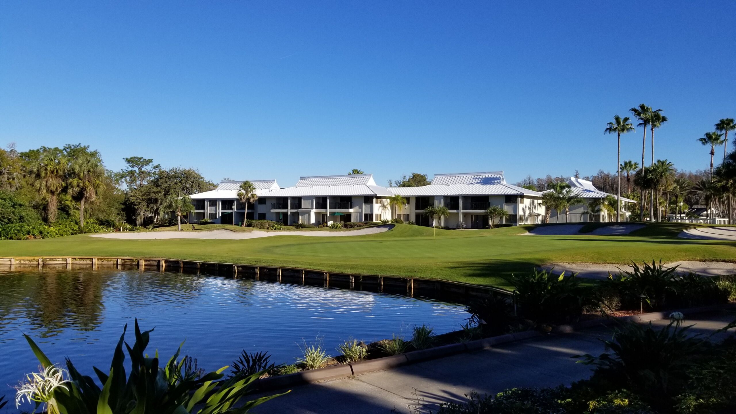 Saddlebrook Resort & Spa-gallery
