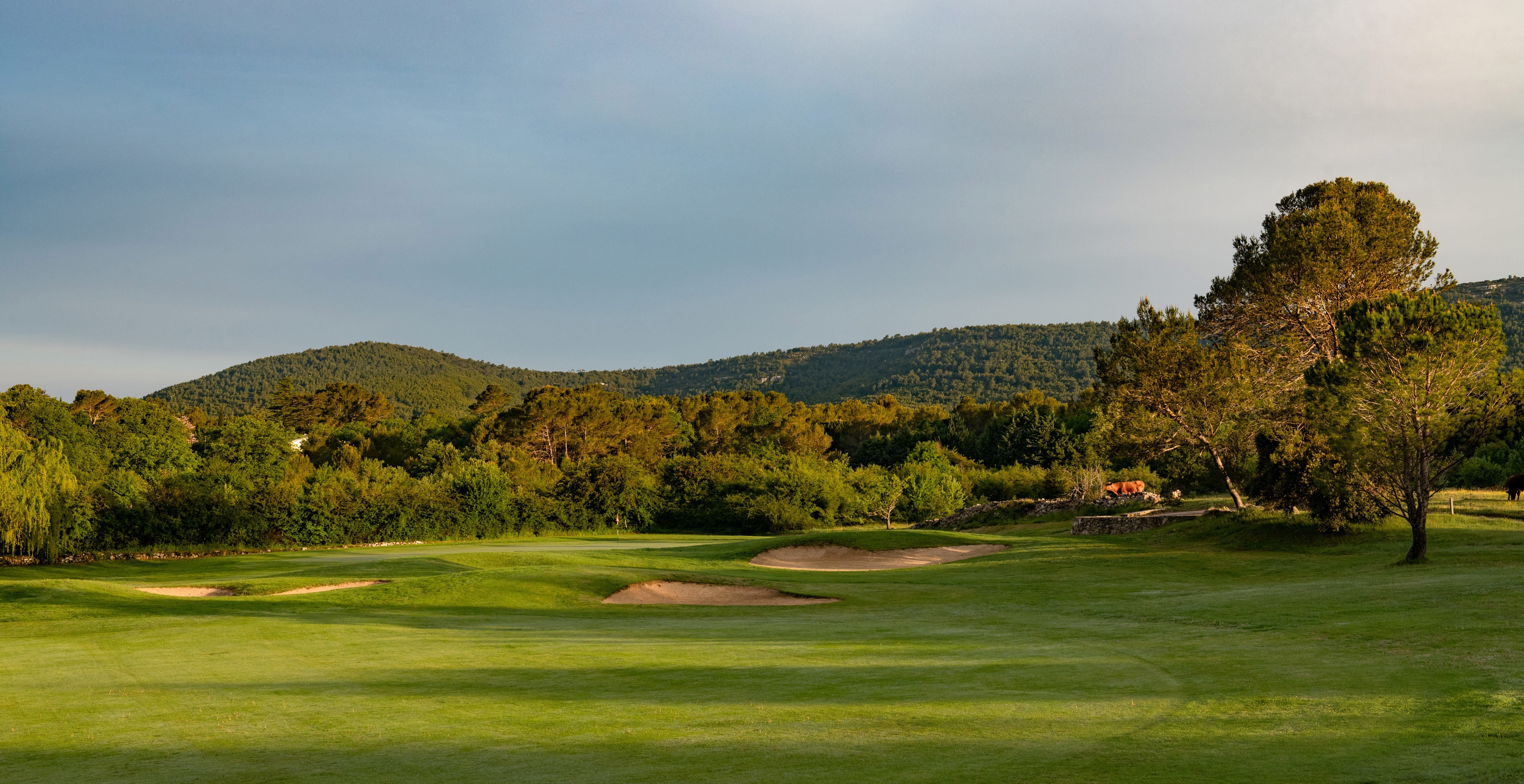 Sainte Baume Golf Club-gallery