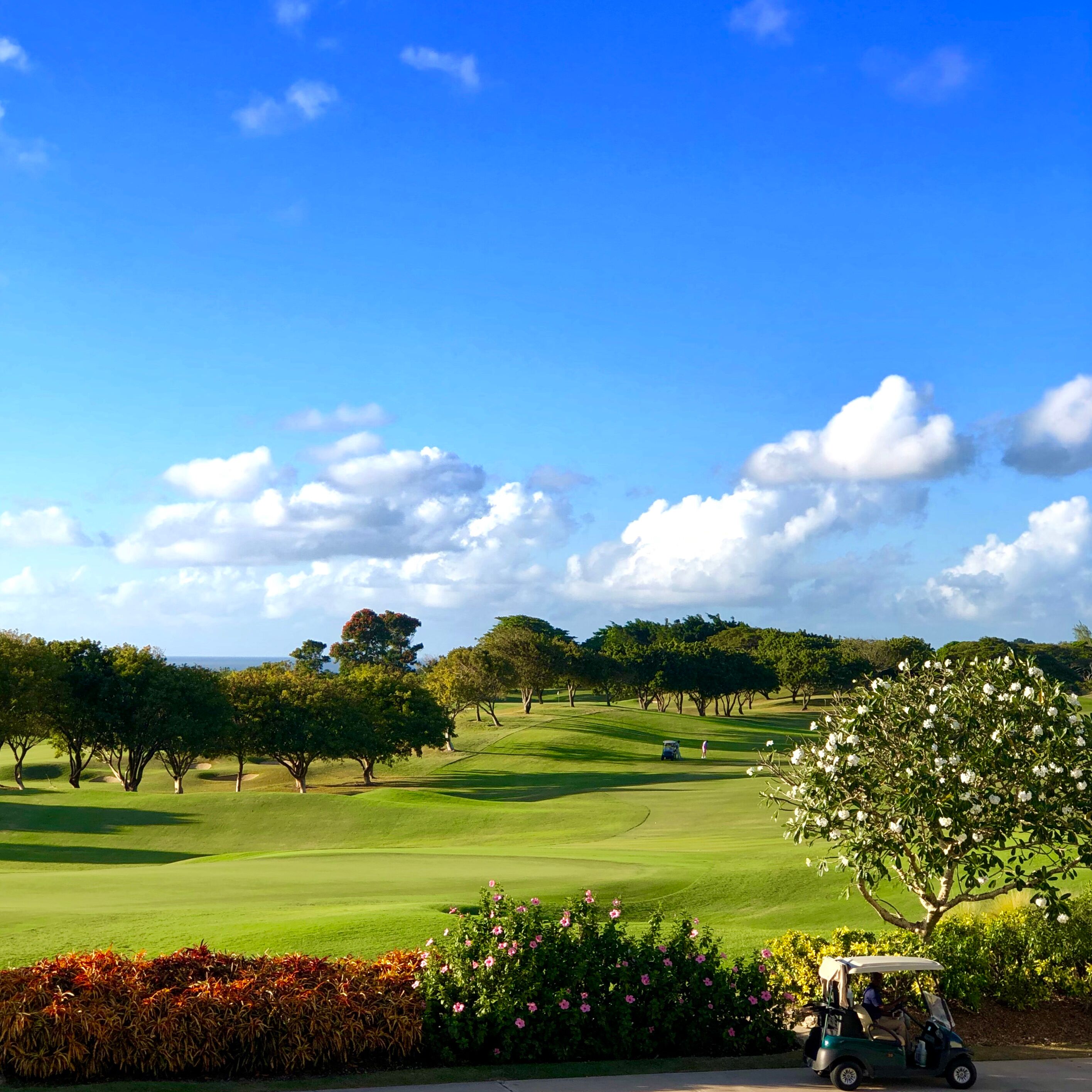 Sandy Lane Hotel-gallery