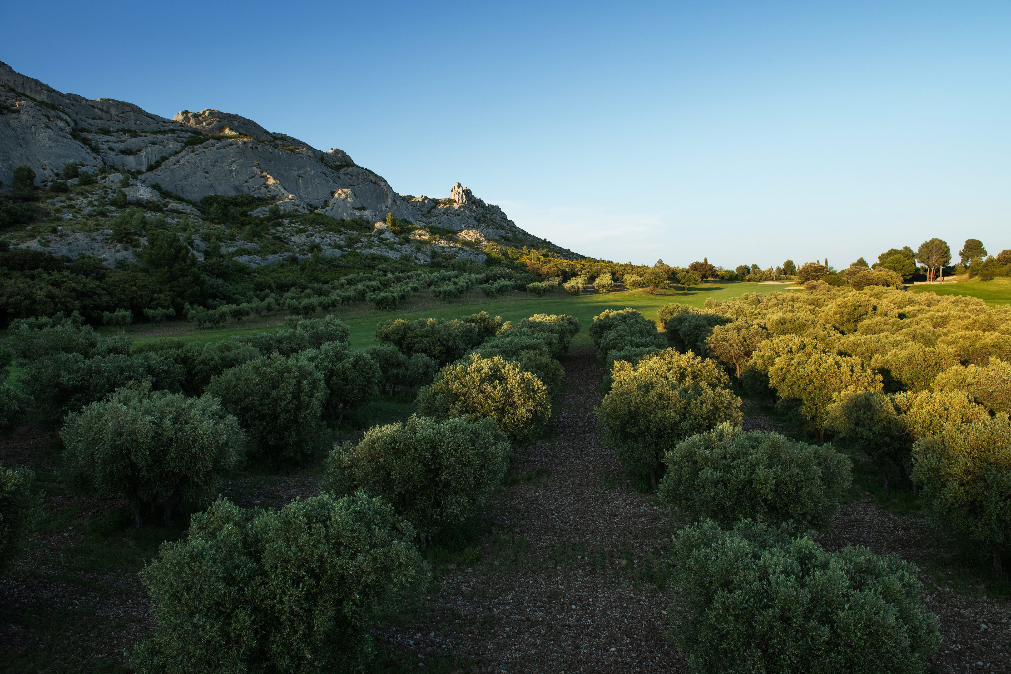 Servanes Golf Club-gallery