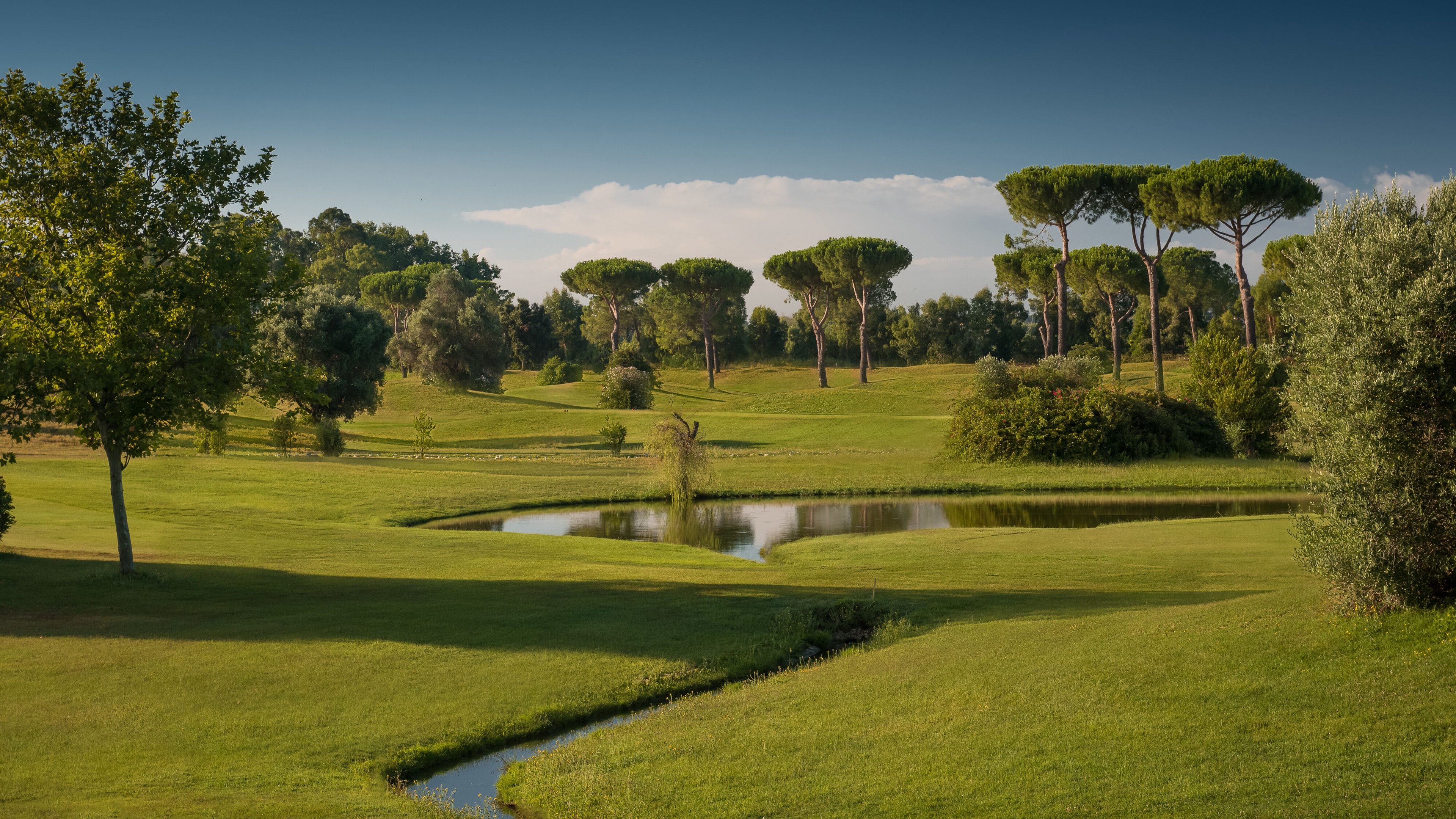 Sheraton Rome Parco De' Medici-gallery