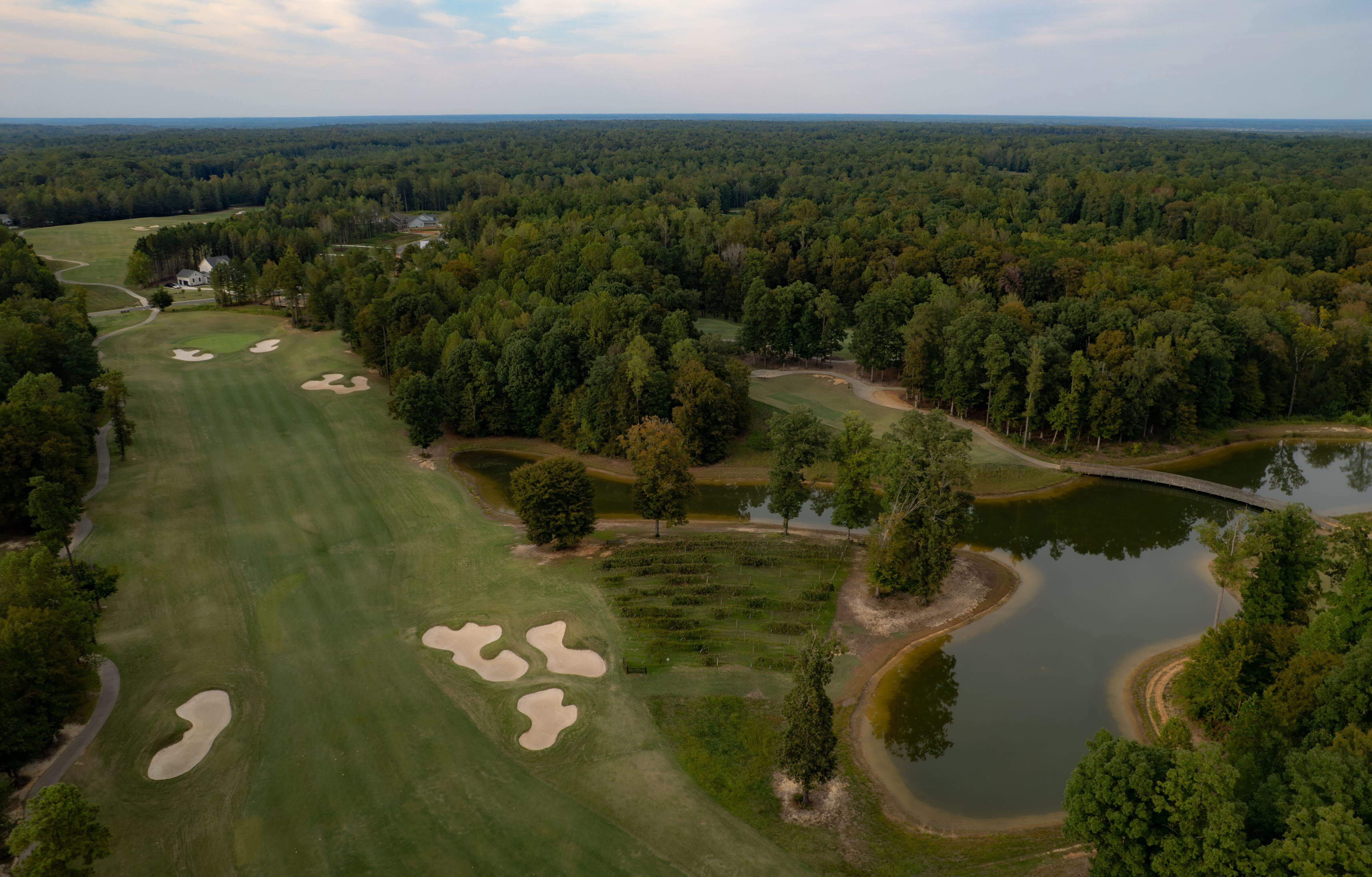 The Club at Viniterra-gallery