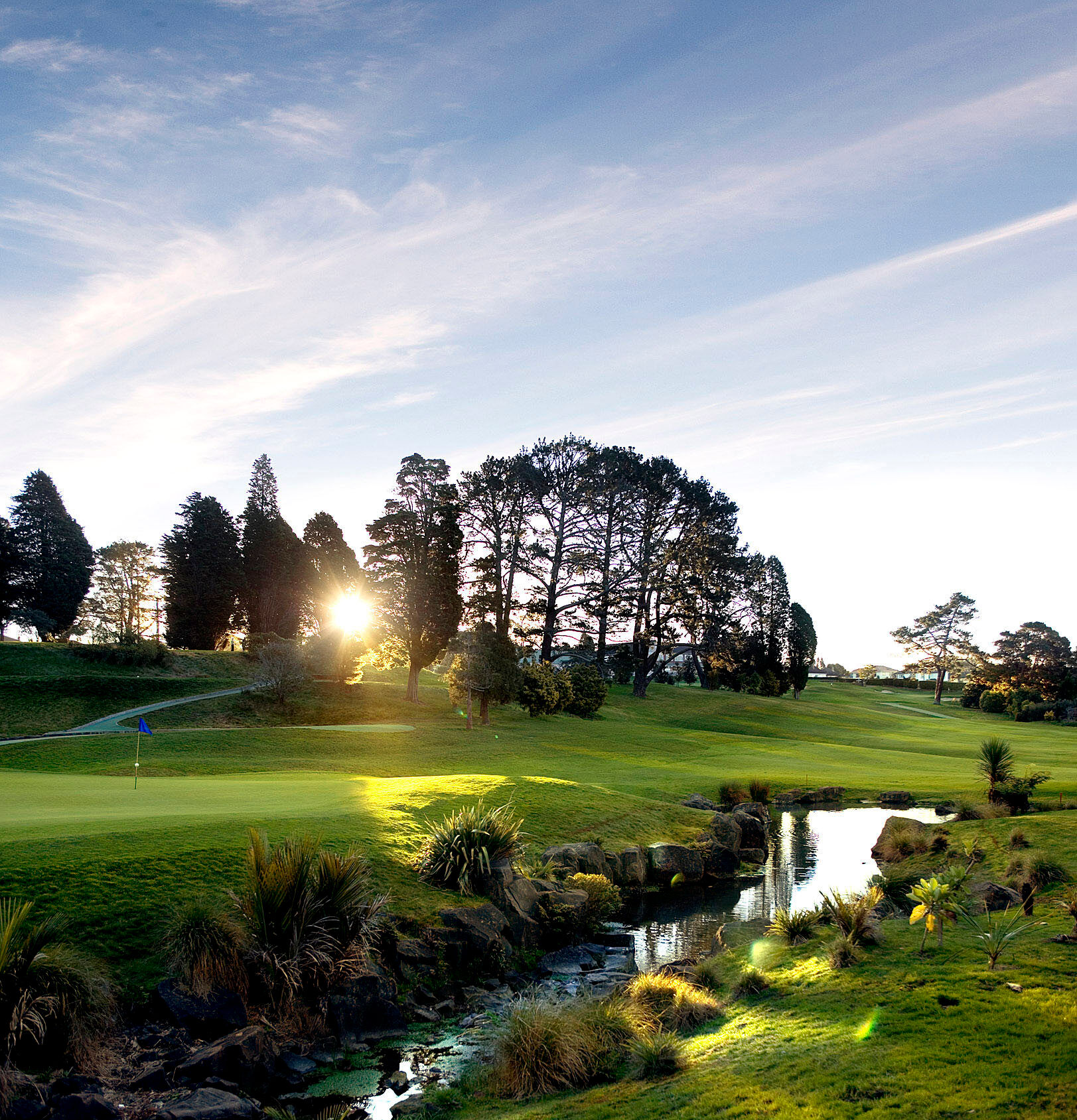 Titirangi Golf Club-gallery