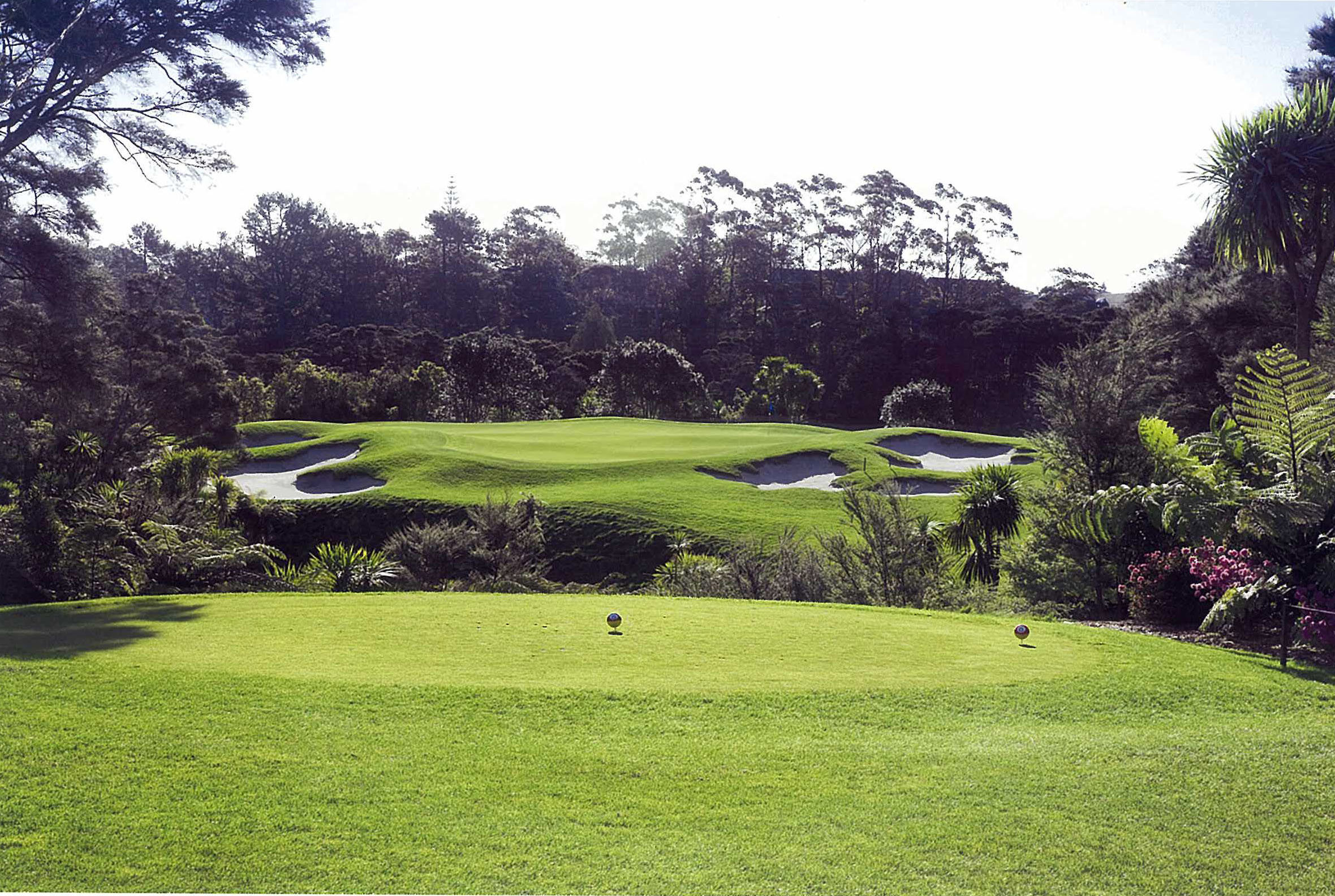 Titirangi Golf Club-gallery