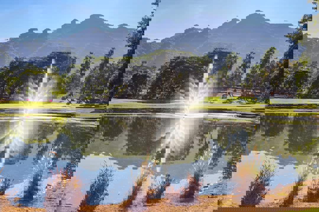 Vista Vallarta Golf Club-gallery