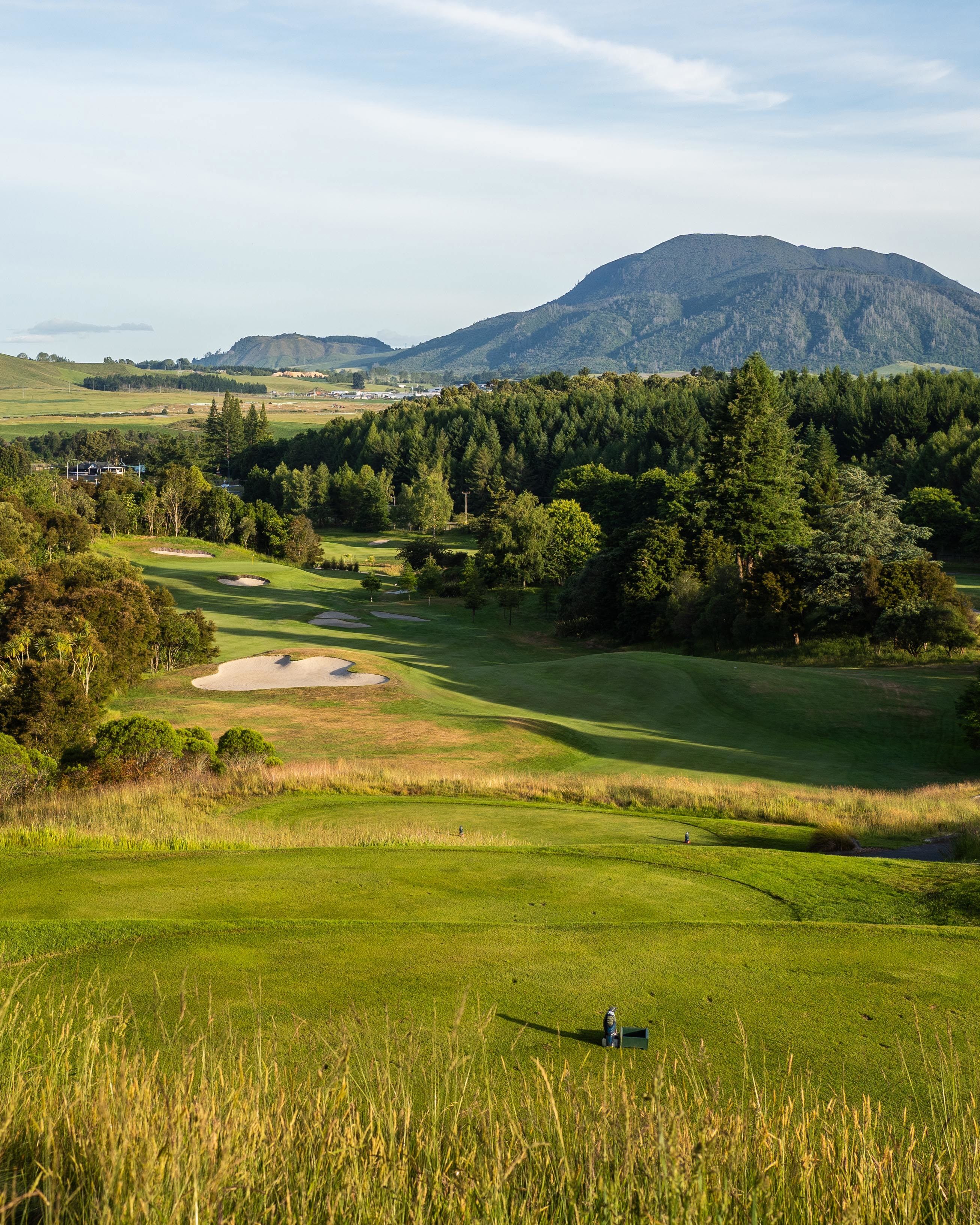 Wairakei Golf + Sanctuary-gallery