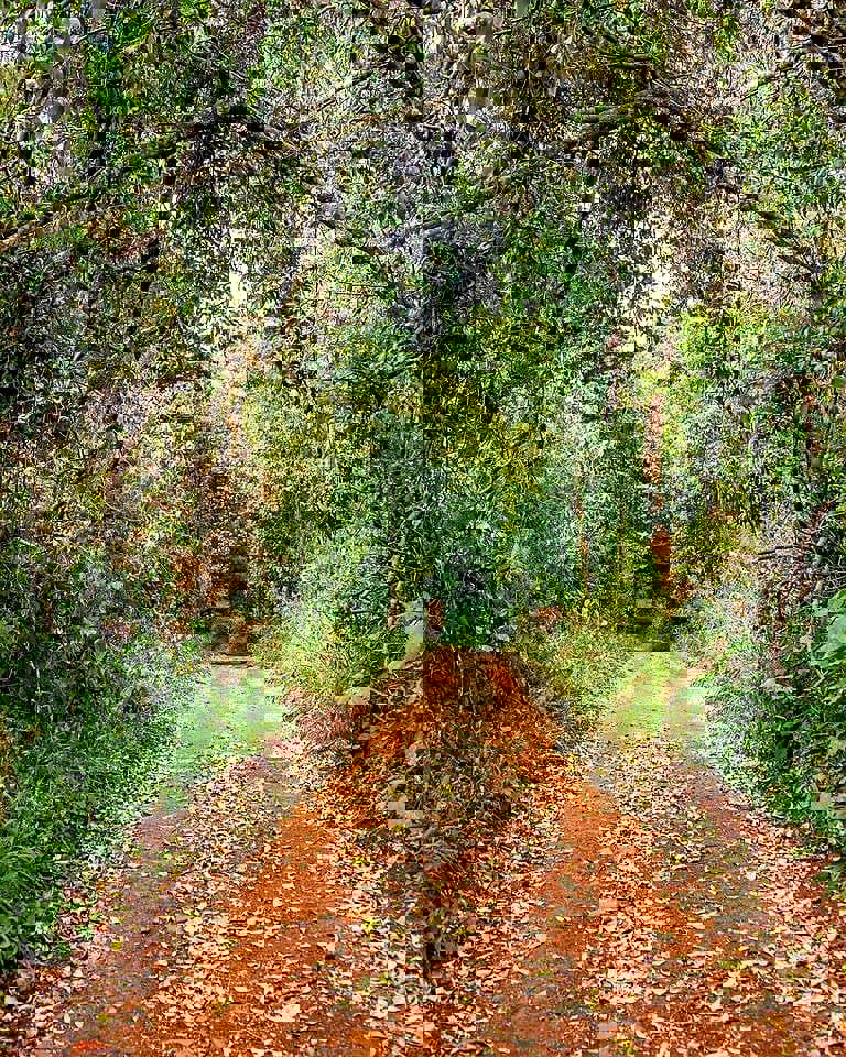 Windsor Golf Hotel & Country Club-gallery