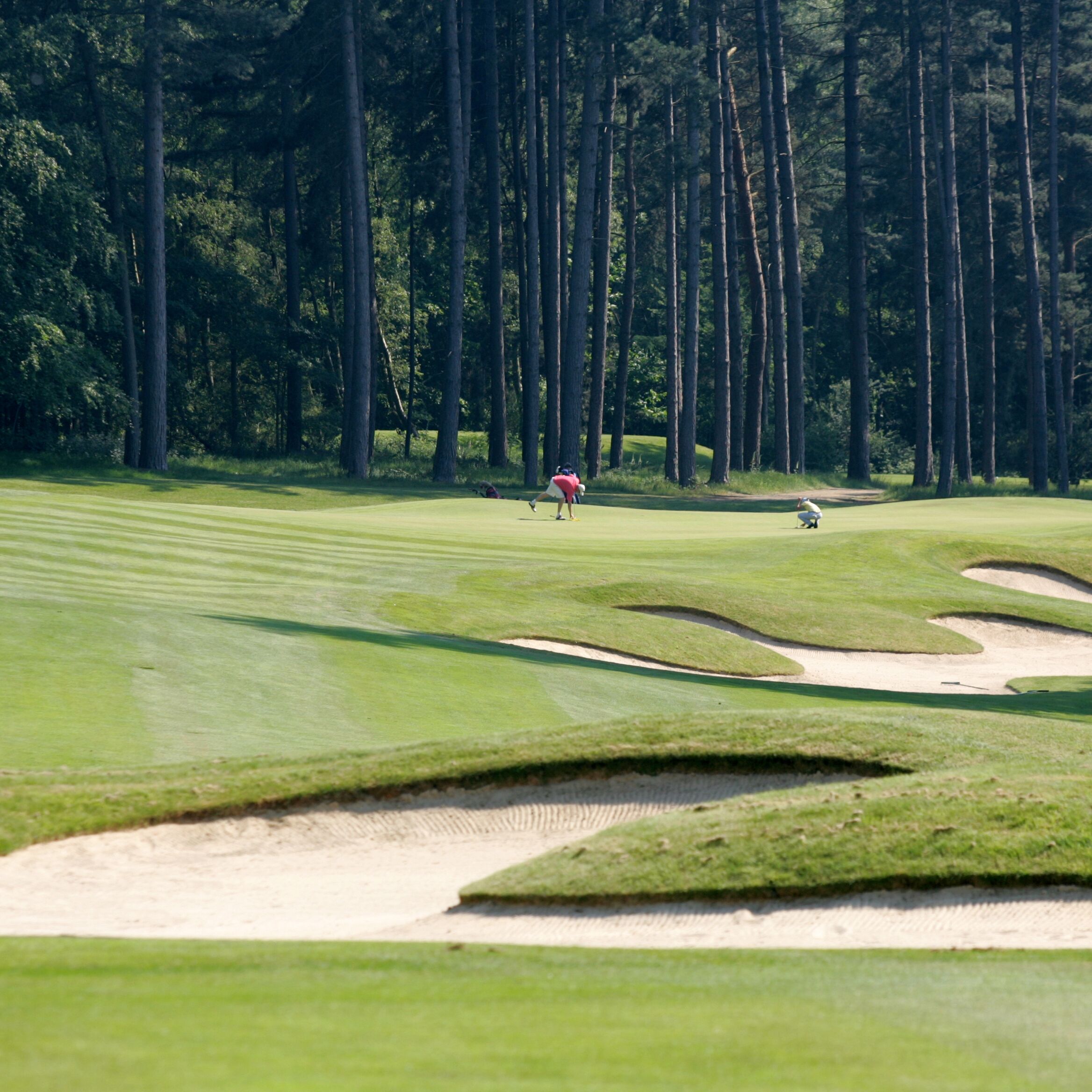 Brocket Hall-gallery